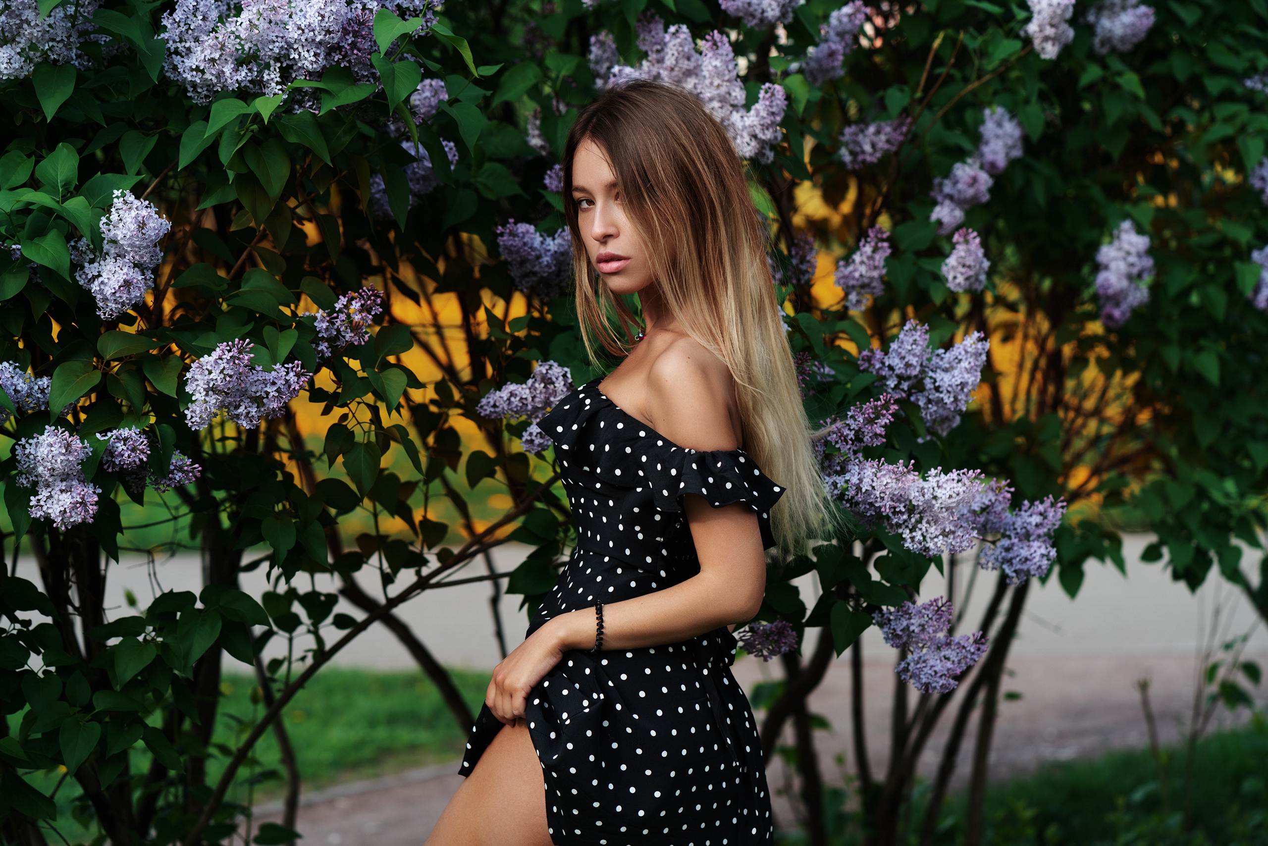 Women Model Bare Shoulders Dress Polka Dots Women Outdoors Brunette Ombre Hair Flowers 2560x1708