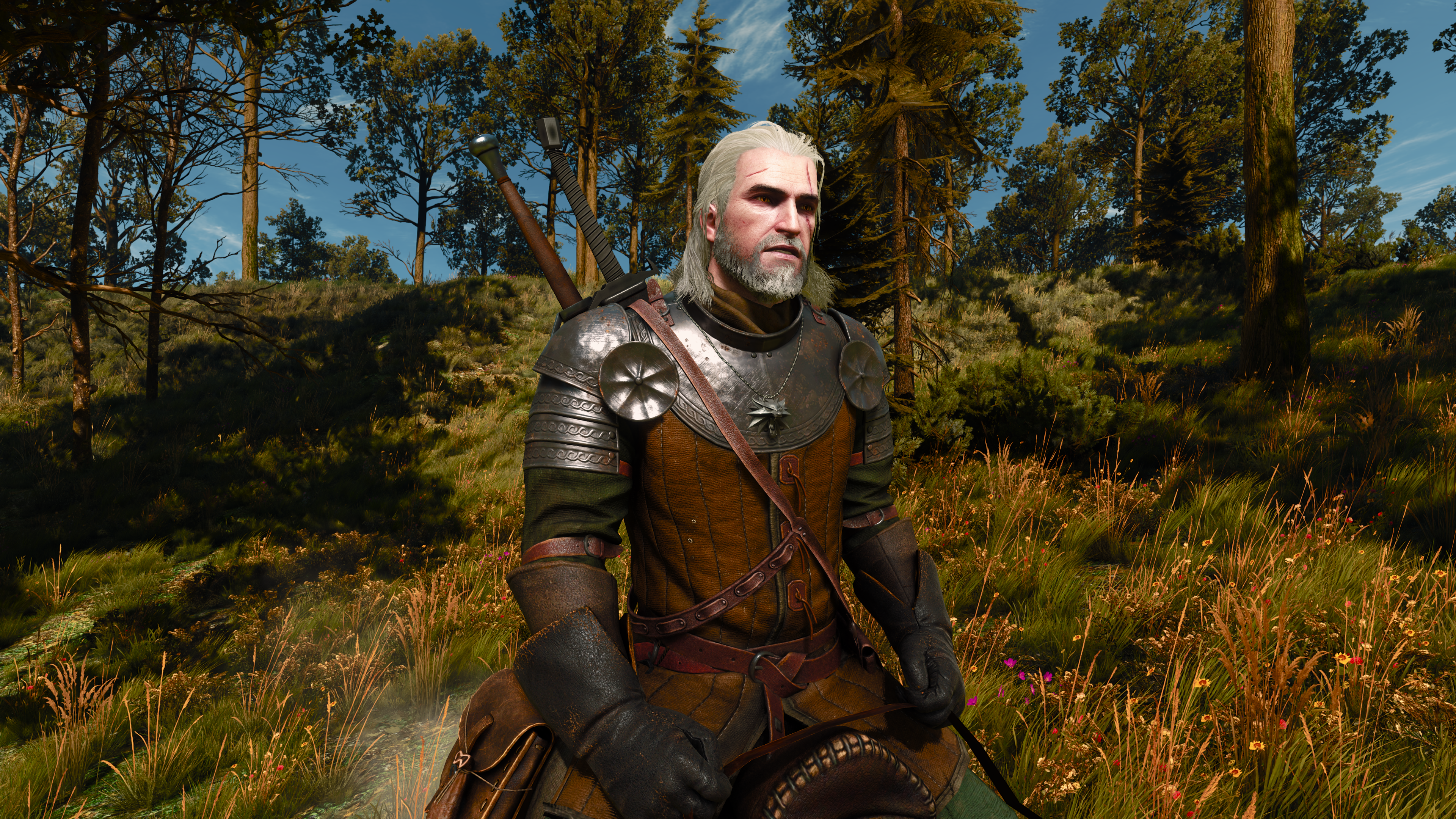 The Witcher Nature RTX Ray Tracing The Witcher 3 Wild Hunt CD Projekt RED Geralt Of Rivia CGi Video  3840x2160