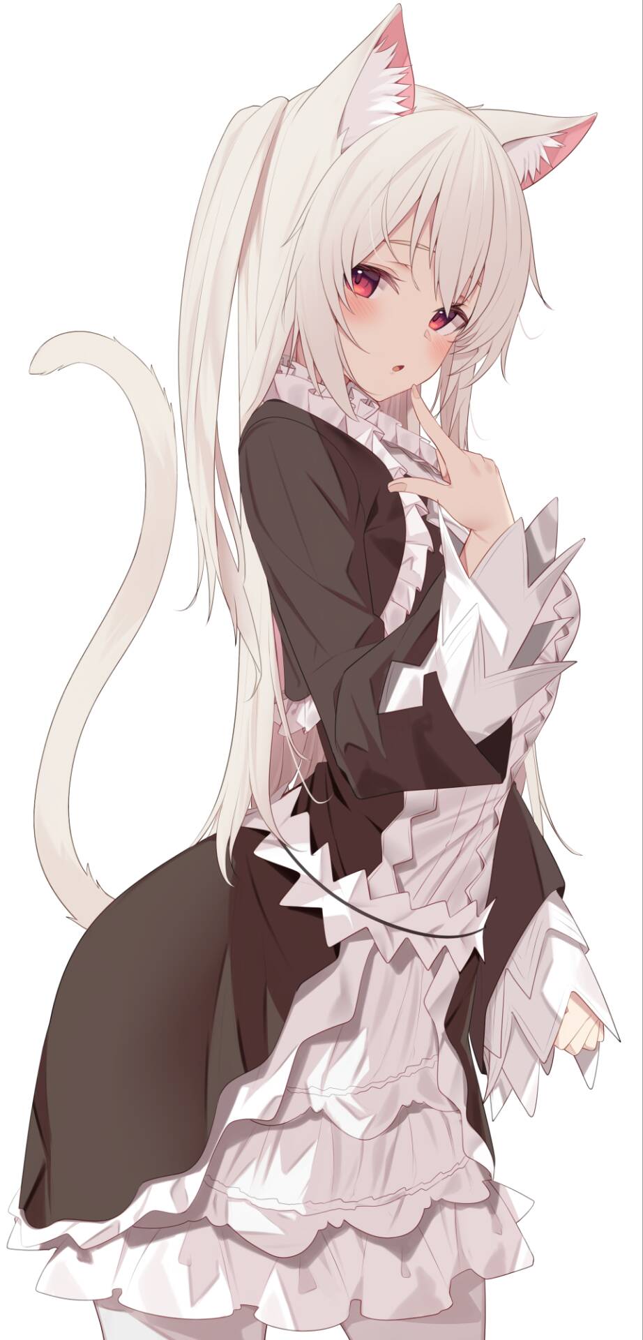 Anime Girls Maid Maid Outfit Cat Girl Cat Ears Cat Tail Looking At Viewer Blushing Long Hair White H 922x1920