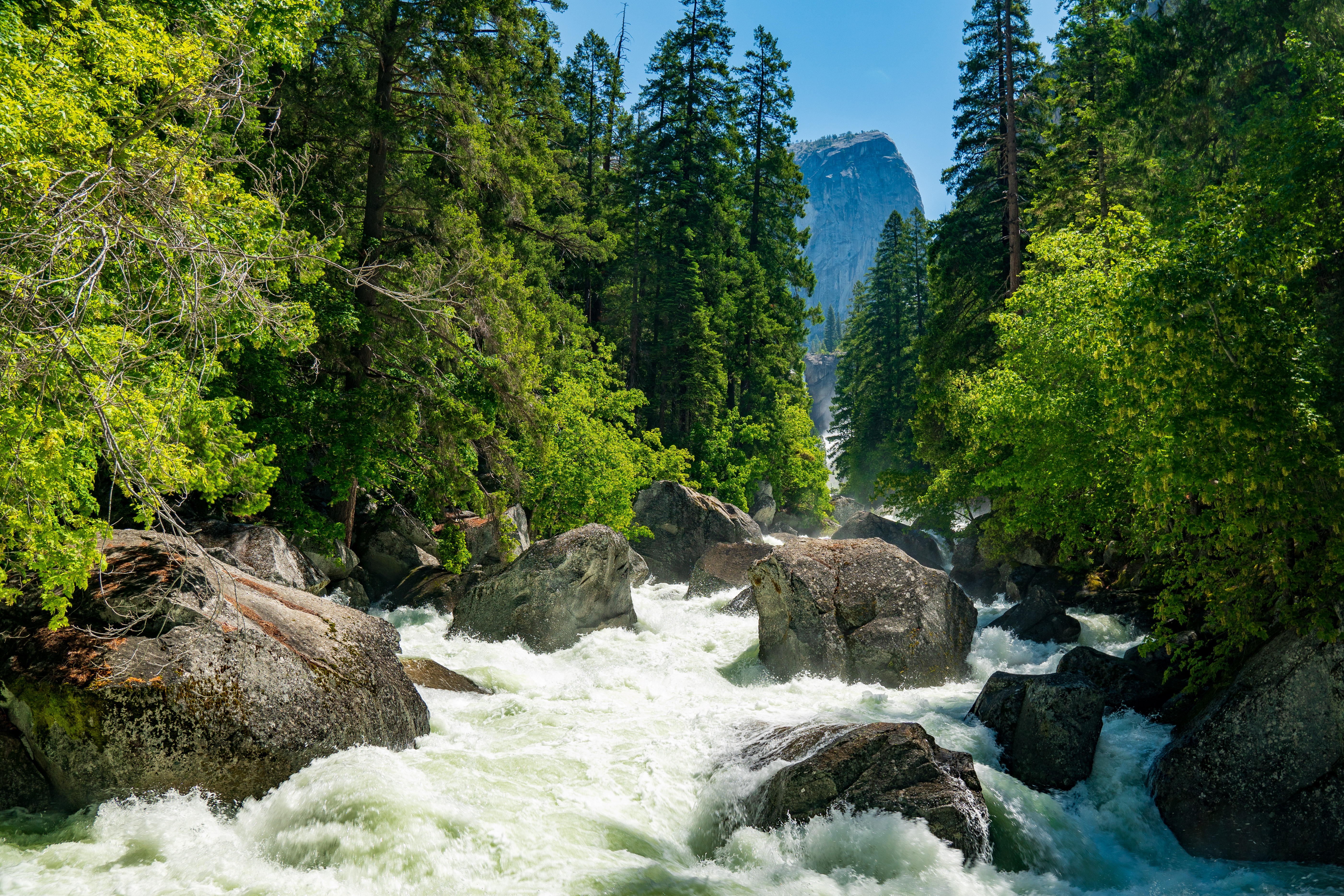Yosemite National Park Yosemite Valley Yosemite Falls Waterfall River Forest California North Americ 5607x3738