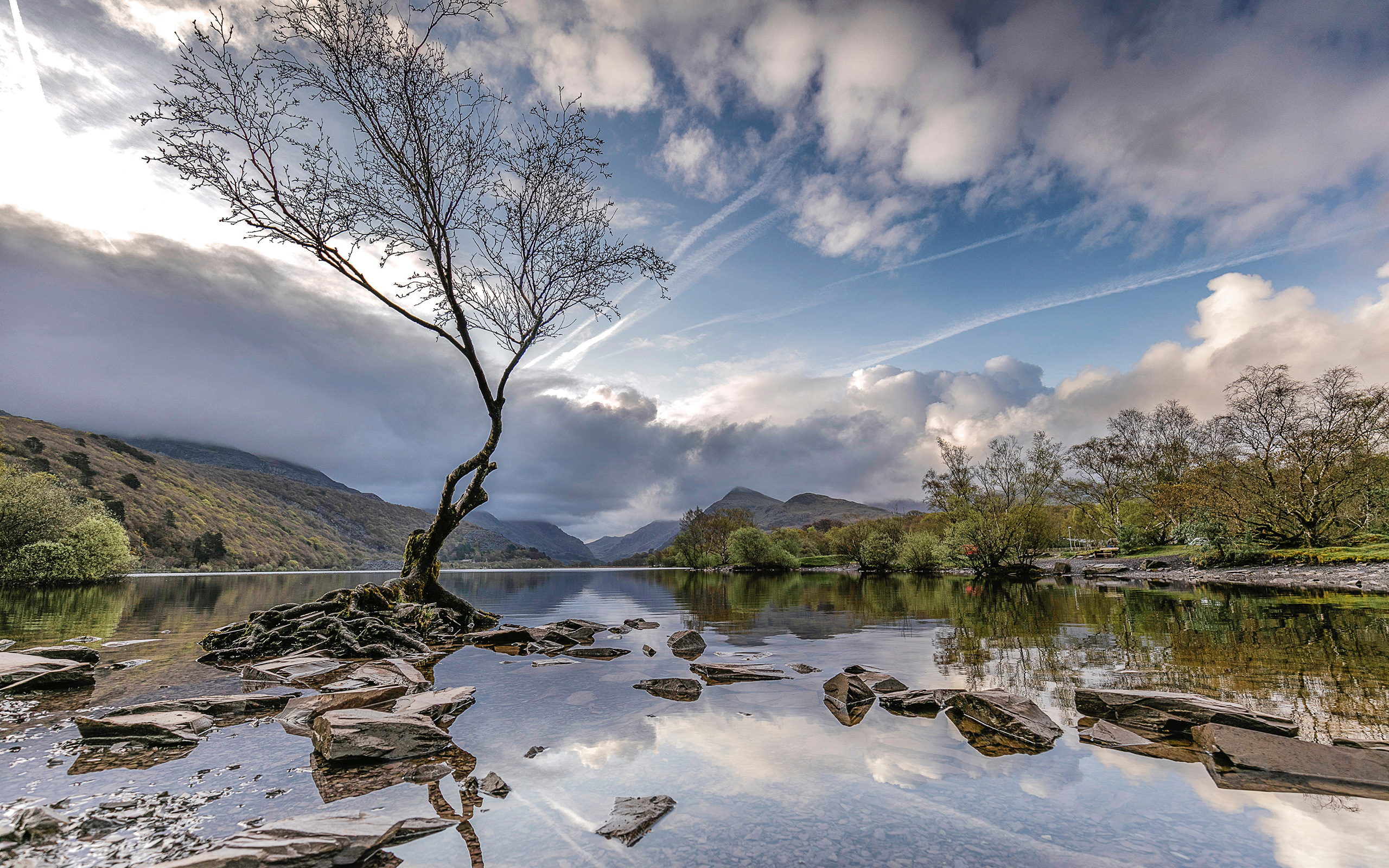 Wales United Kingdom Dead Tree Cloud Water River 2560x1600