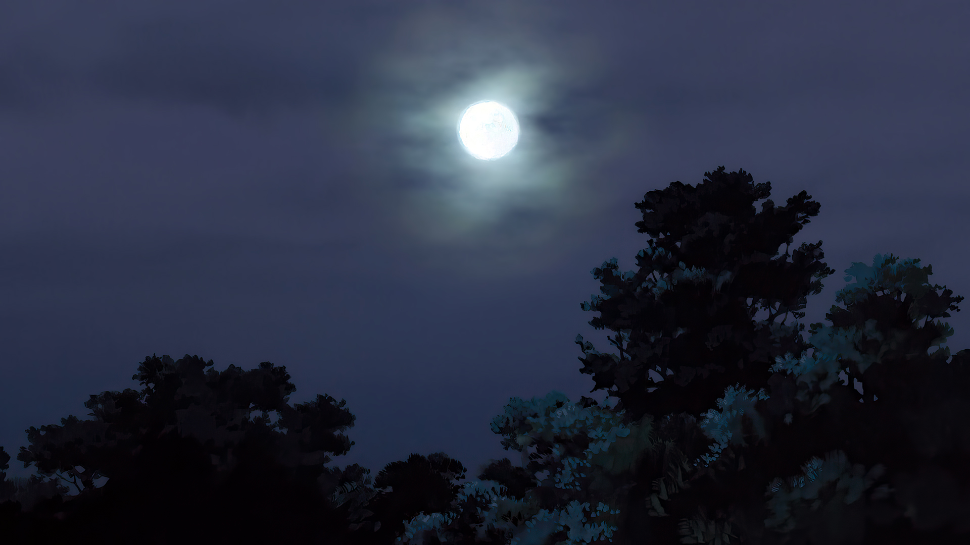 Kokuriko Zaka Kara Animated Movies Anime Animation Film Stills Studio Ghibli Moon Trees Forest Night 1920x1080