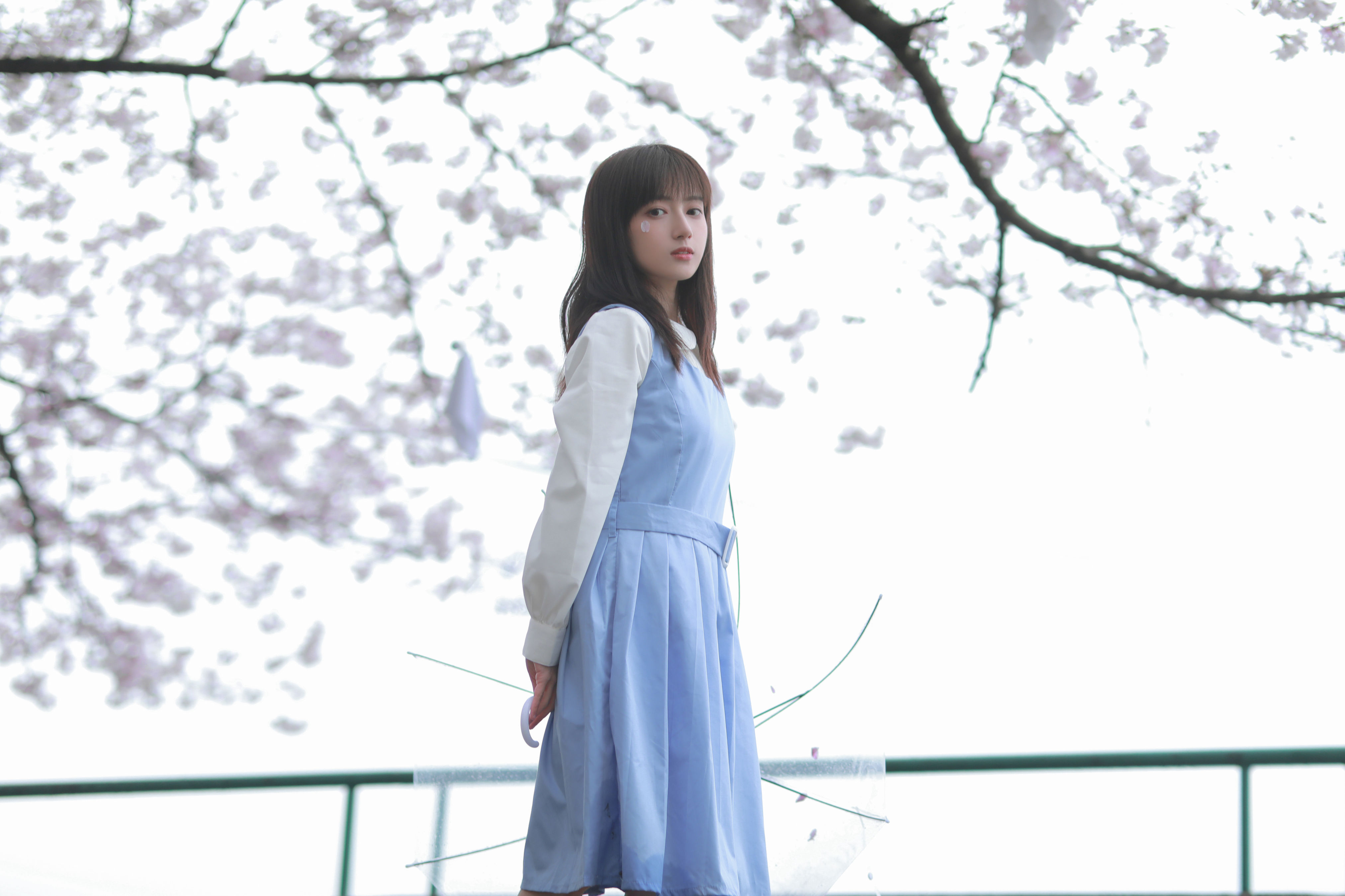 Asian Women Model Women Outdoors Urban Brunette Standing Dress Blue Dress Blue Clothing Looking At V 4050x2700