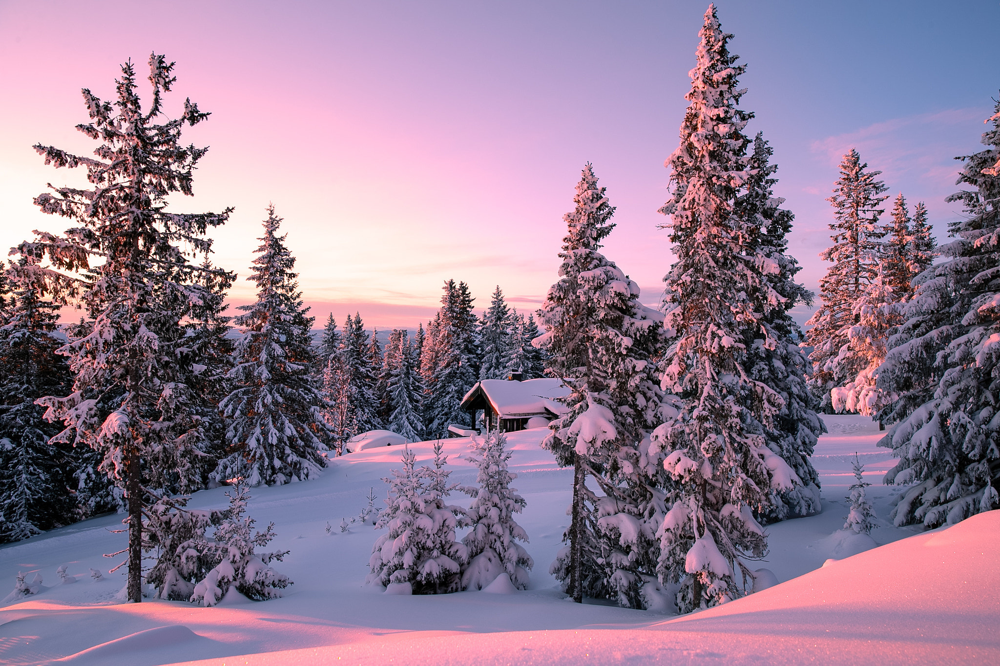 Nature Winter Sunset Snow Trees Sky 2048x1365