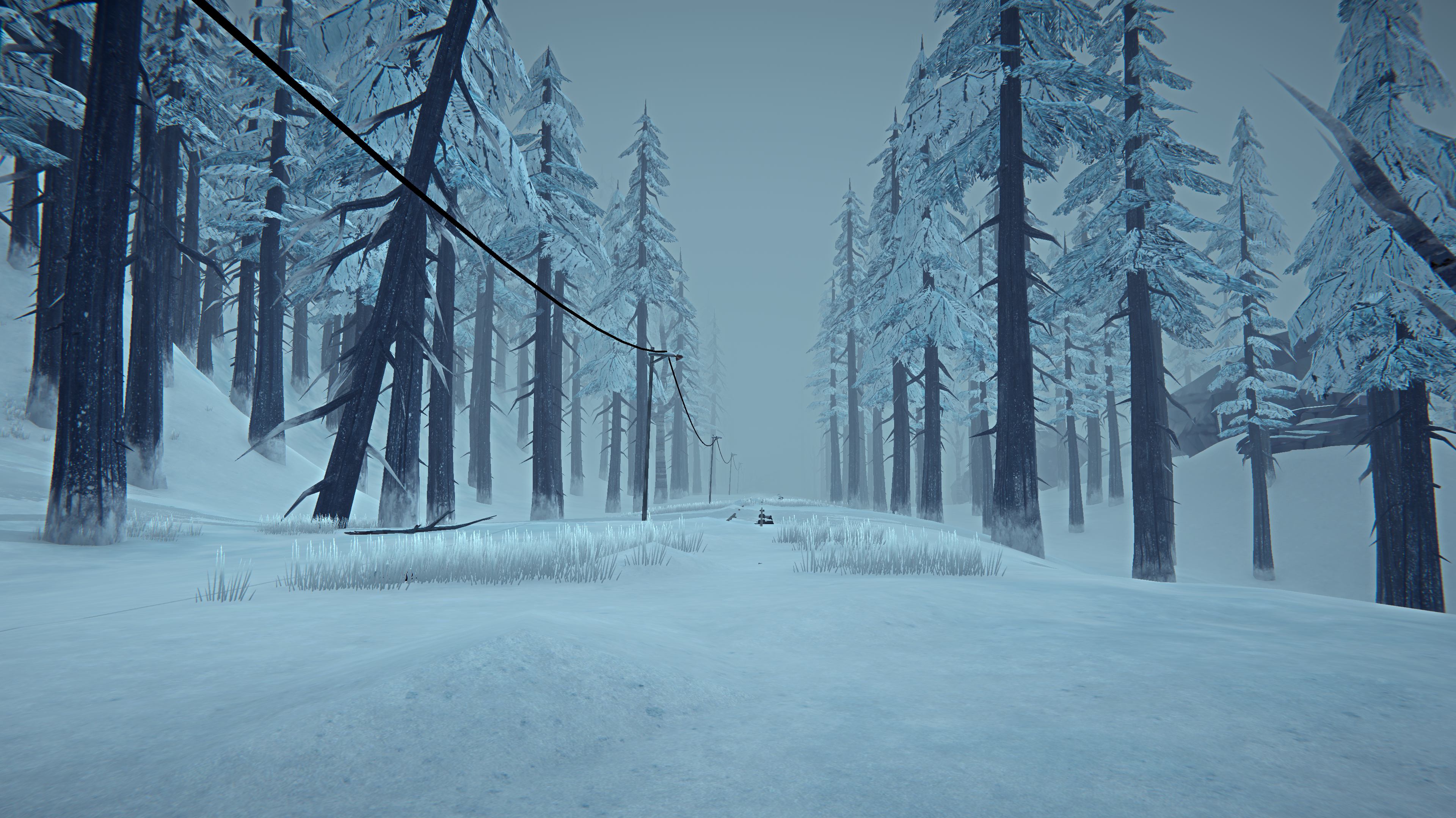 The Long Dark Screen Shot Snow Survival Video Game Landscape PC Gaming Forest Winter Trees Nature Mi 3840x2160