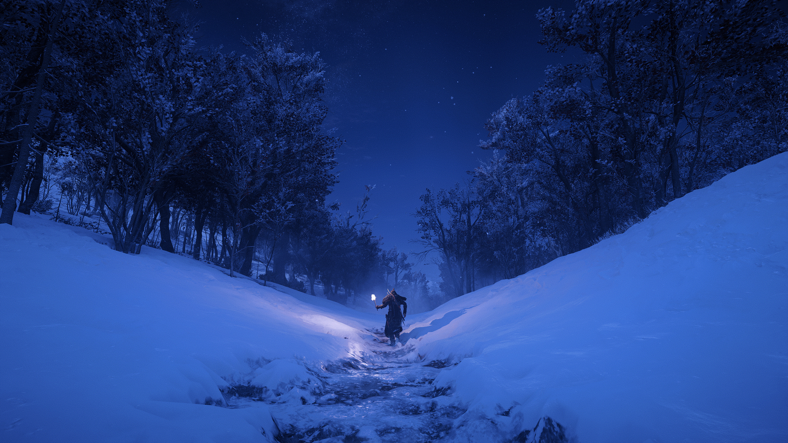 Assassins Creed Valhalla Eivor Assassin S Creed Valhalla Video Games Snow Night Trees Nature Forest  2560x1440