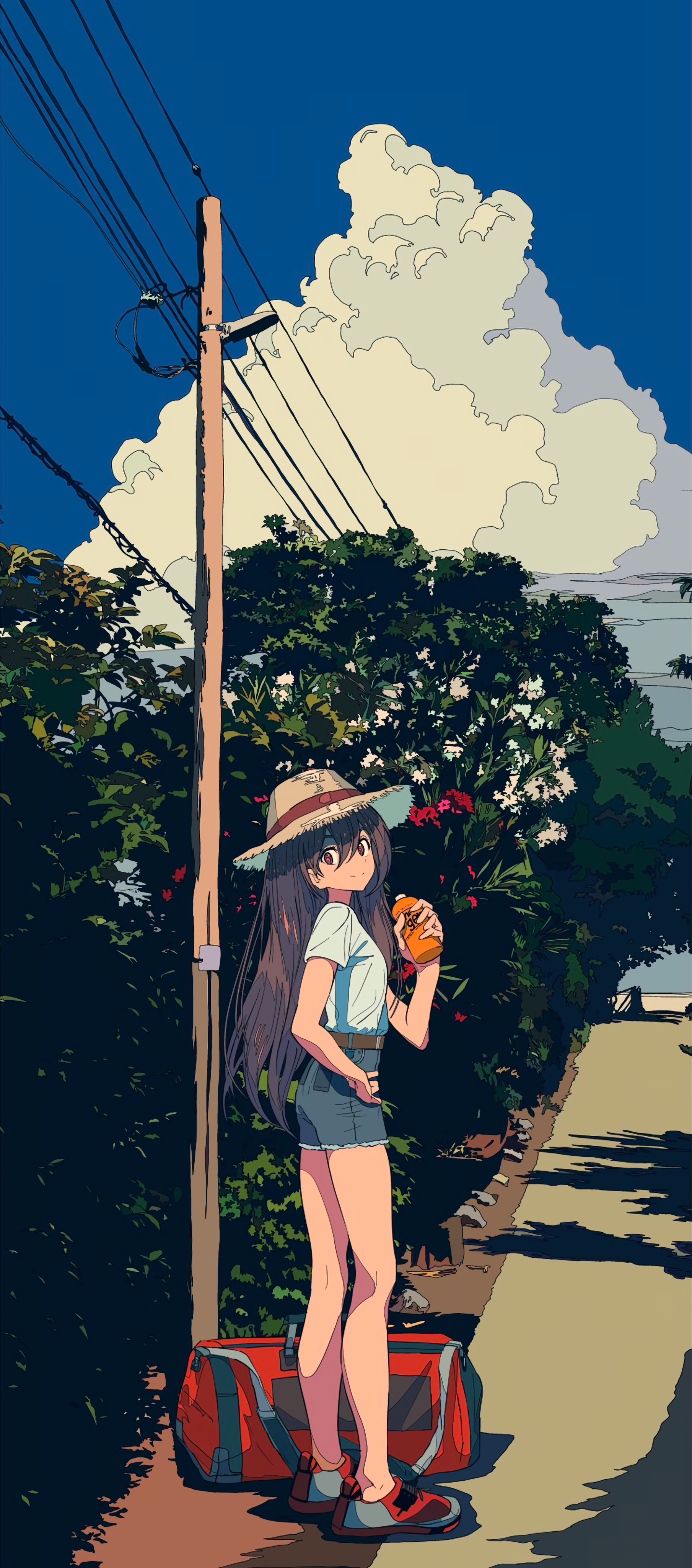 Cogecha Anime Anime Girls Portrait Display Long Hair Hat Sky Looking At Viewer Clouds Smiling Straw  1809x4096