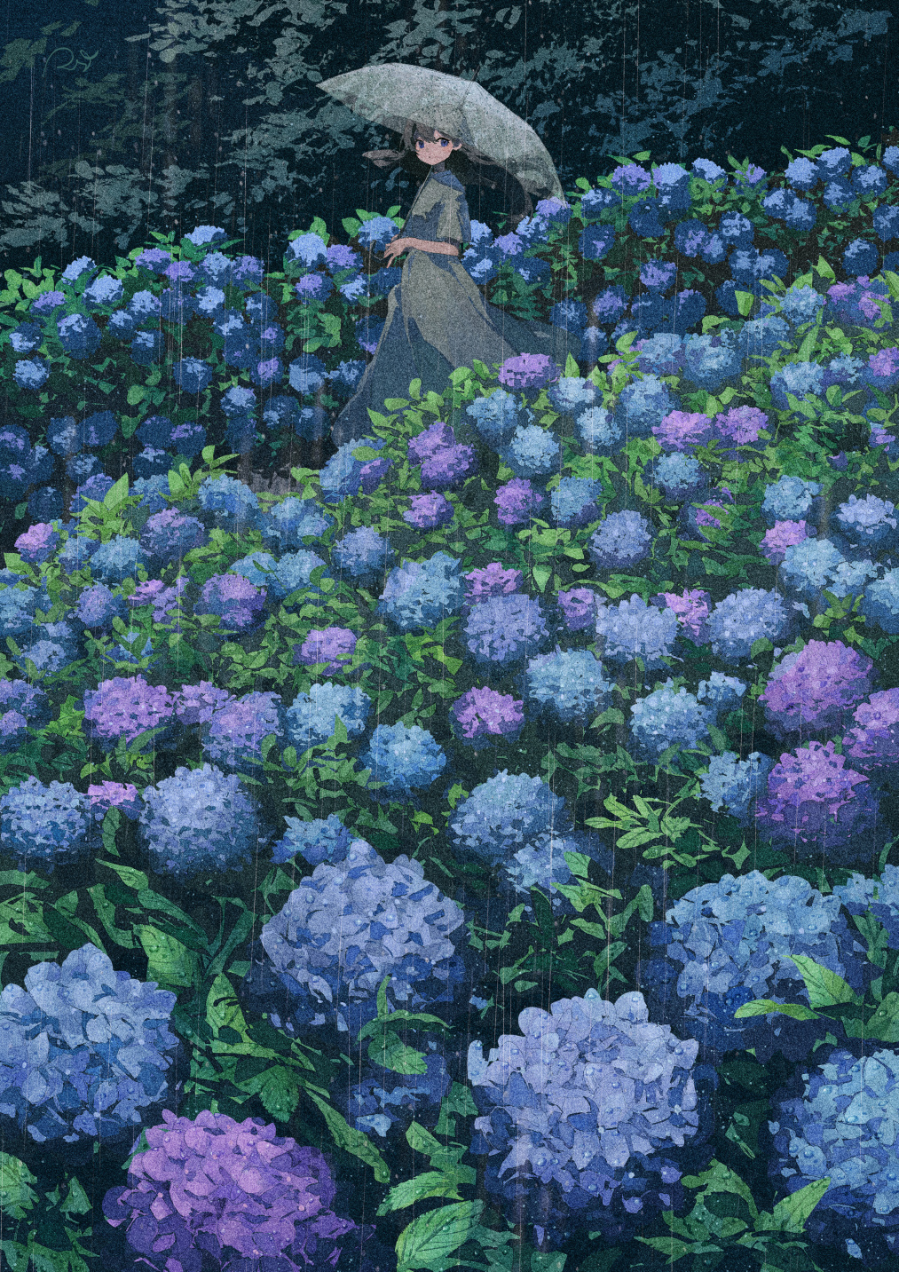 Potg Anime Girls Vertical Illustration Hydrangea Flowers Rain Umbrella Field Women With Umbrella Wom 1013x1433