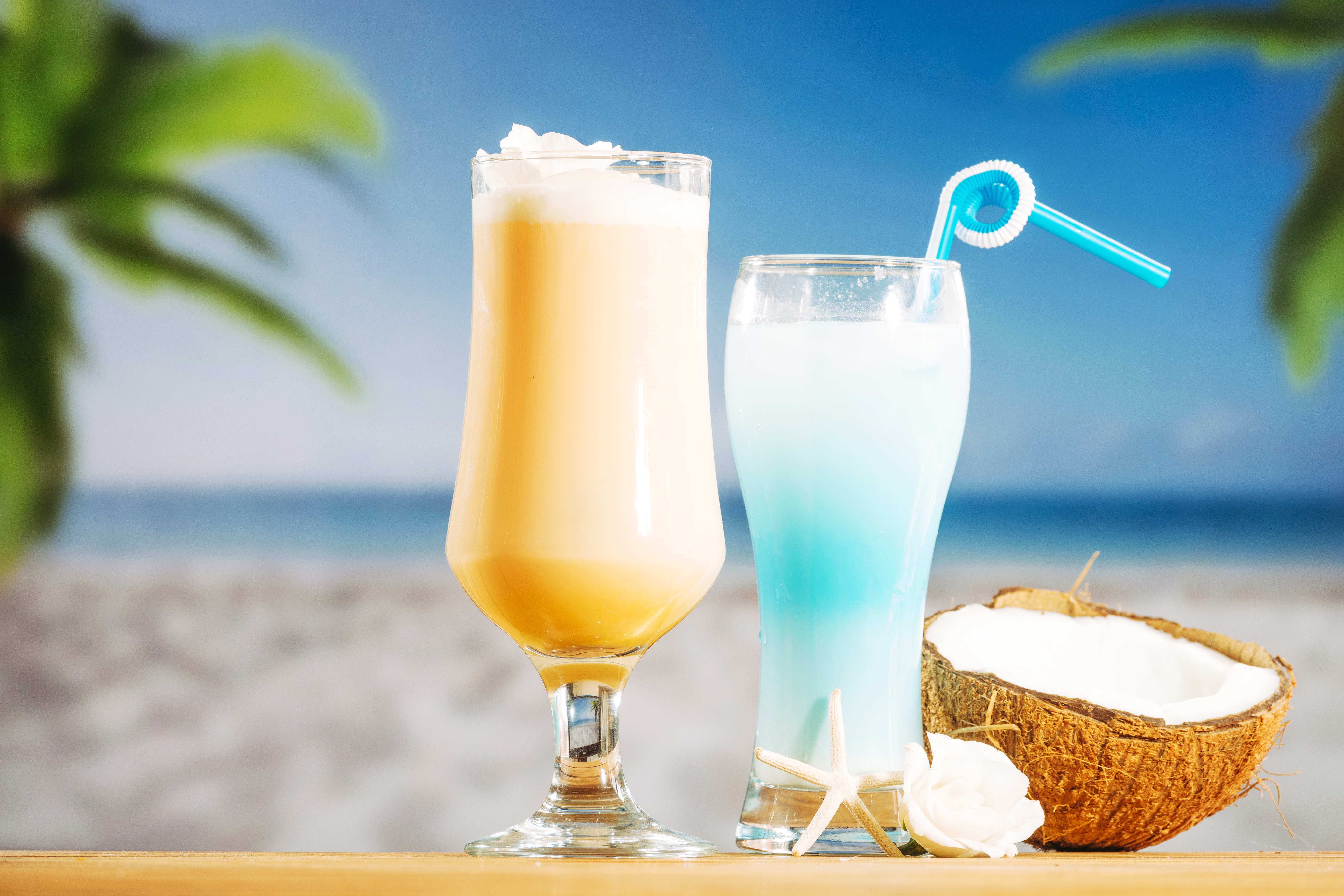Depth Of Field Drink Coconut Summer Glass 5472x3648