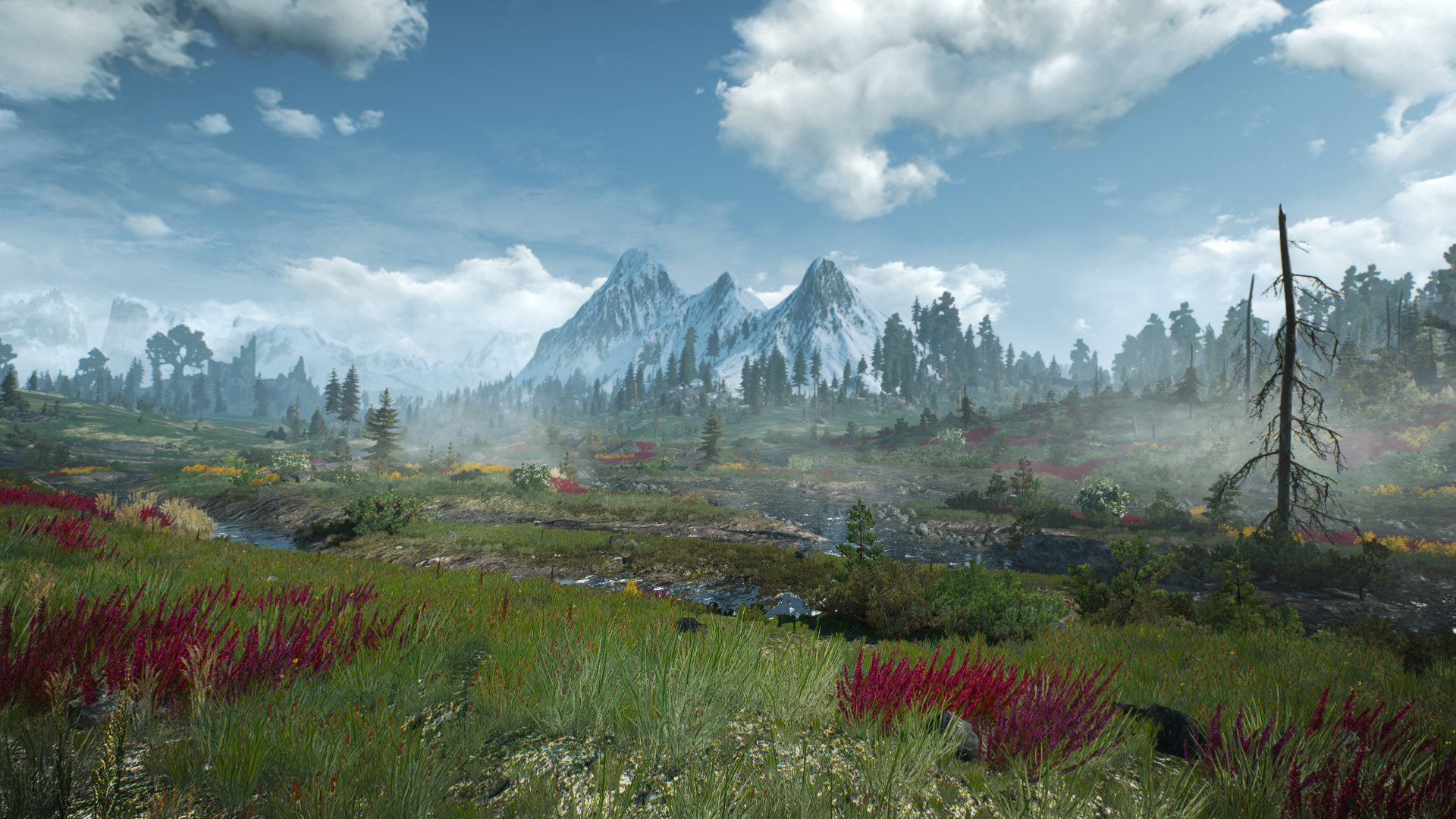 The Witcher 3 Wild Hunt Video Game Landscape CD Projekt RED CGi Video Games Mountains Snow Trees Flo 1920x1080