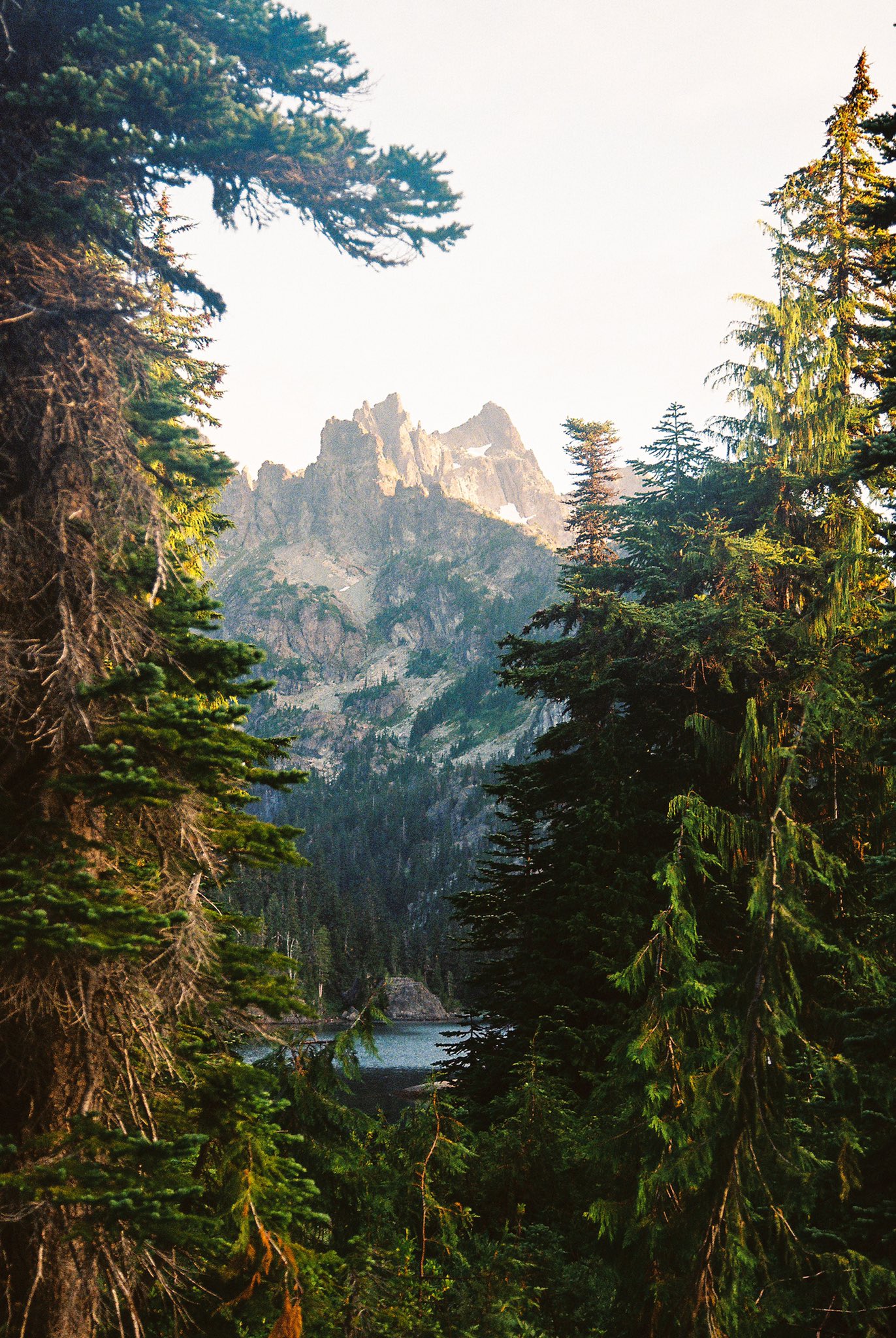 Forest Trees Pine Trees Mountains Nature Landscape Lake Vertical Portrait Display 1372x2048
