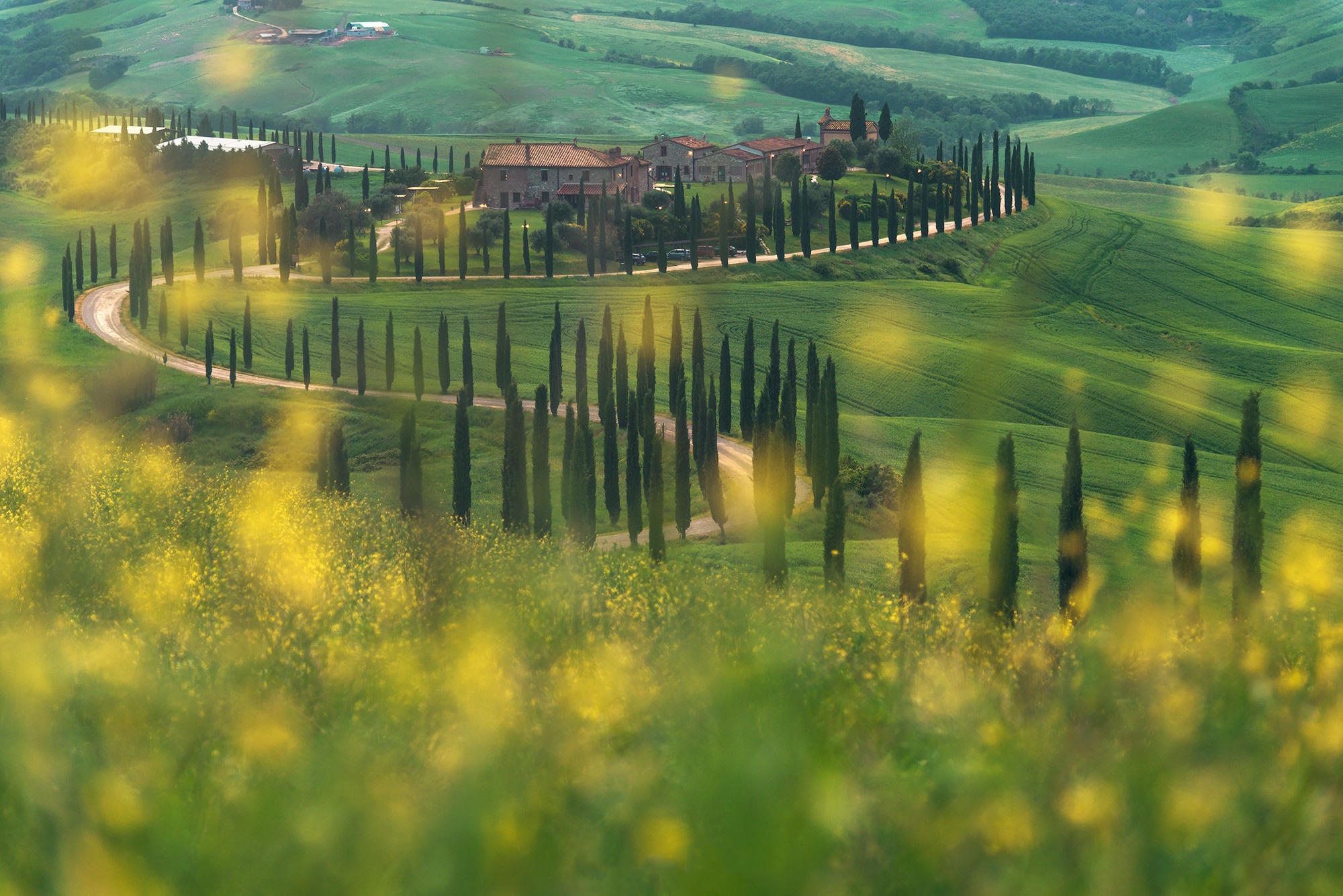 Photography Tuscany 2000x1335
