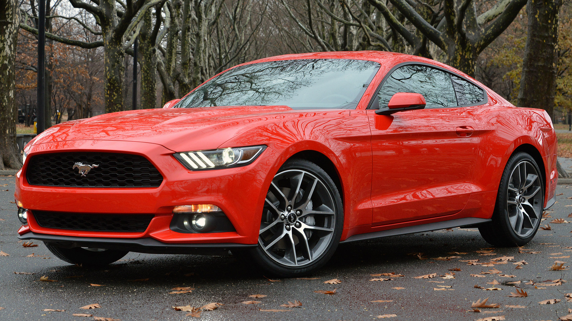 Vehicles Ford Mustang 1920x1080