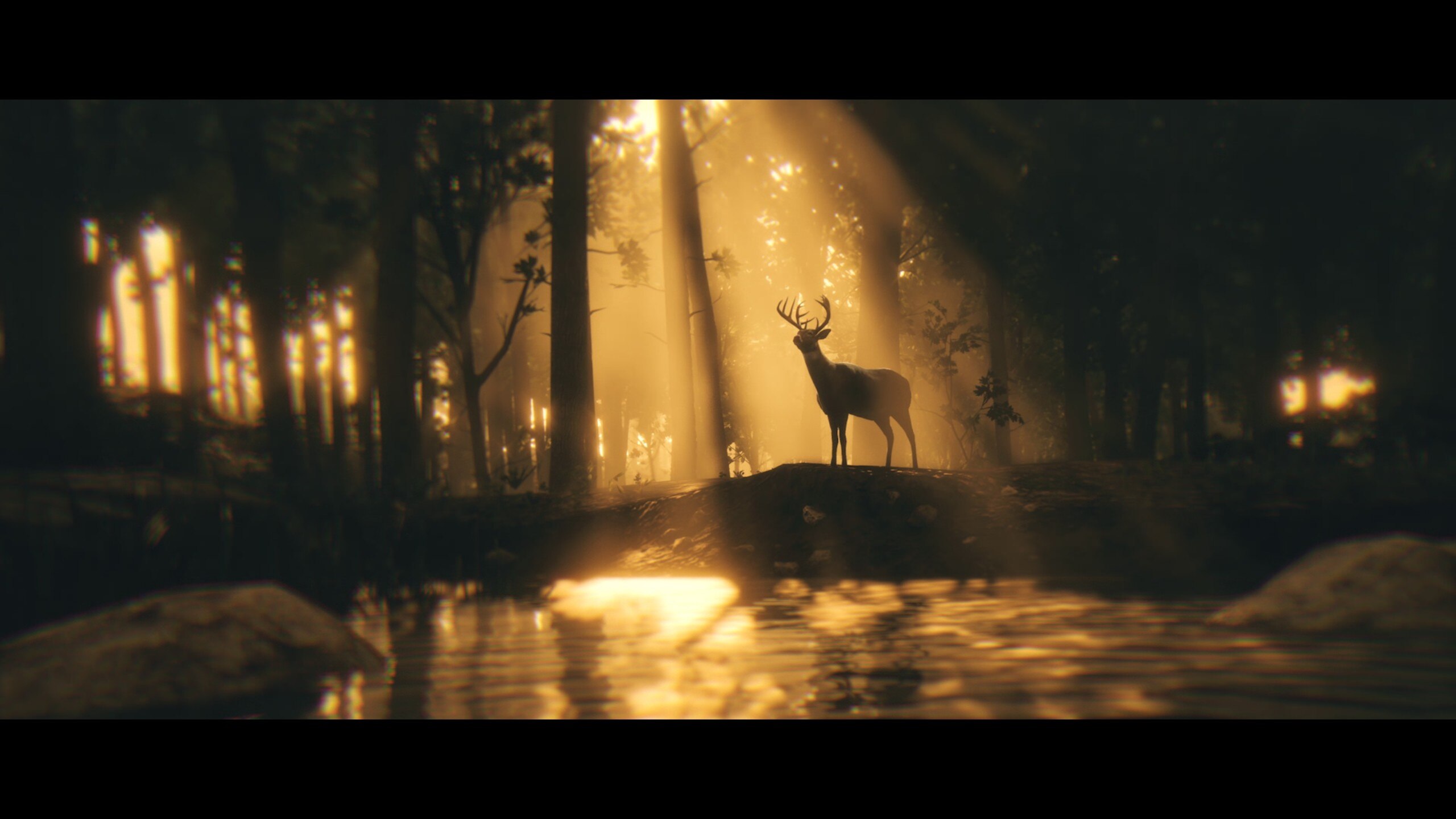 Red Dead Redemption 2 Deer Video Games Animals Nature Trees 2560x1440