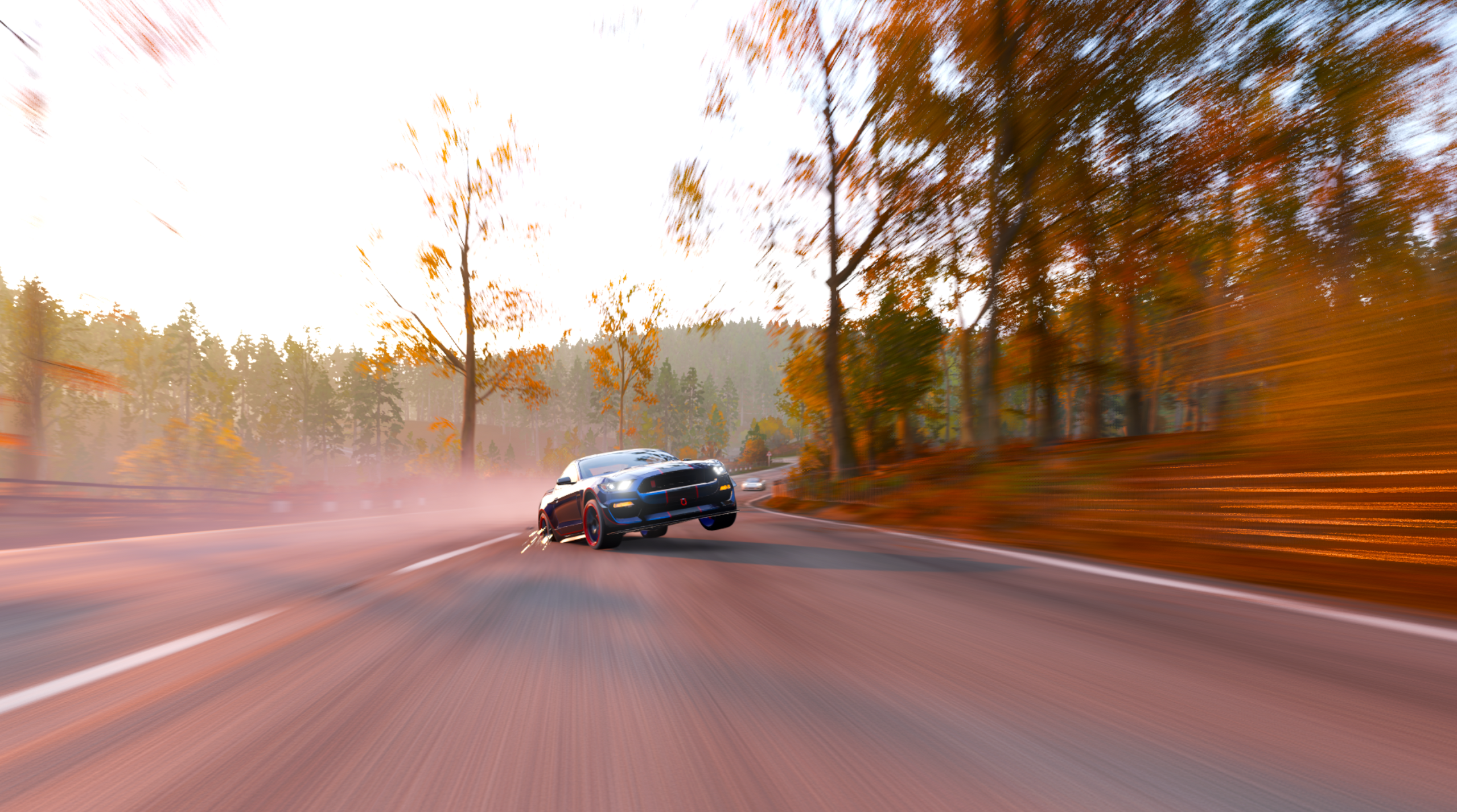 Autumn Boar Spark Speed Limit Car High View LED Headlight Sinking Red Trees Highway Fly Frontal View 2560x1427