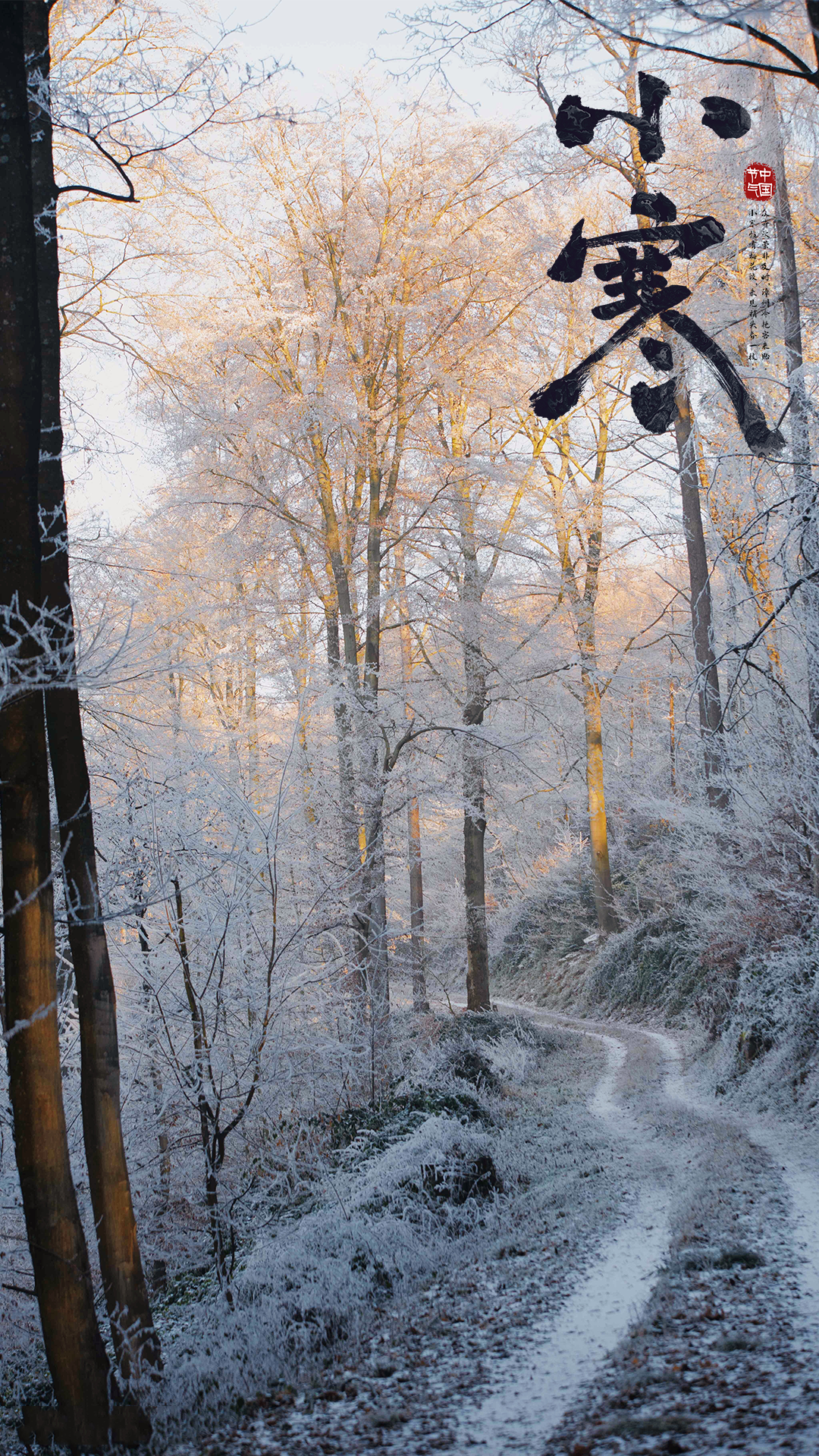 Nature Seasons Snow Landscape Path Trees Frost 1080x1920