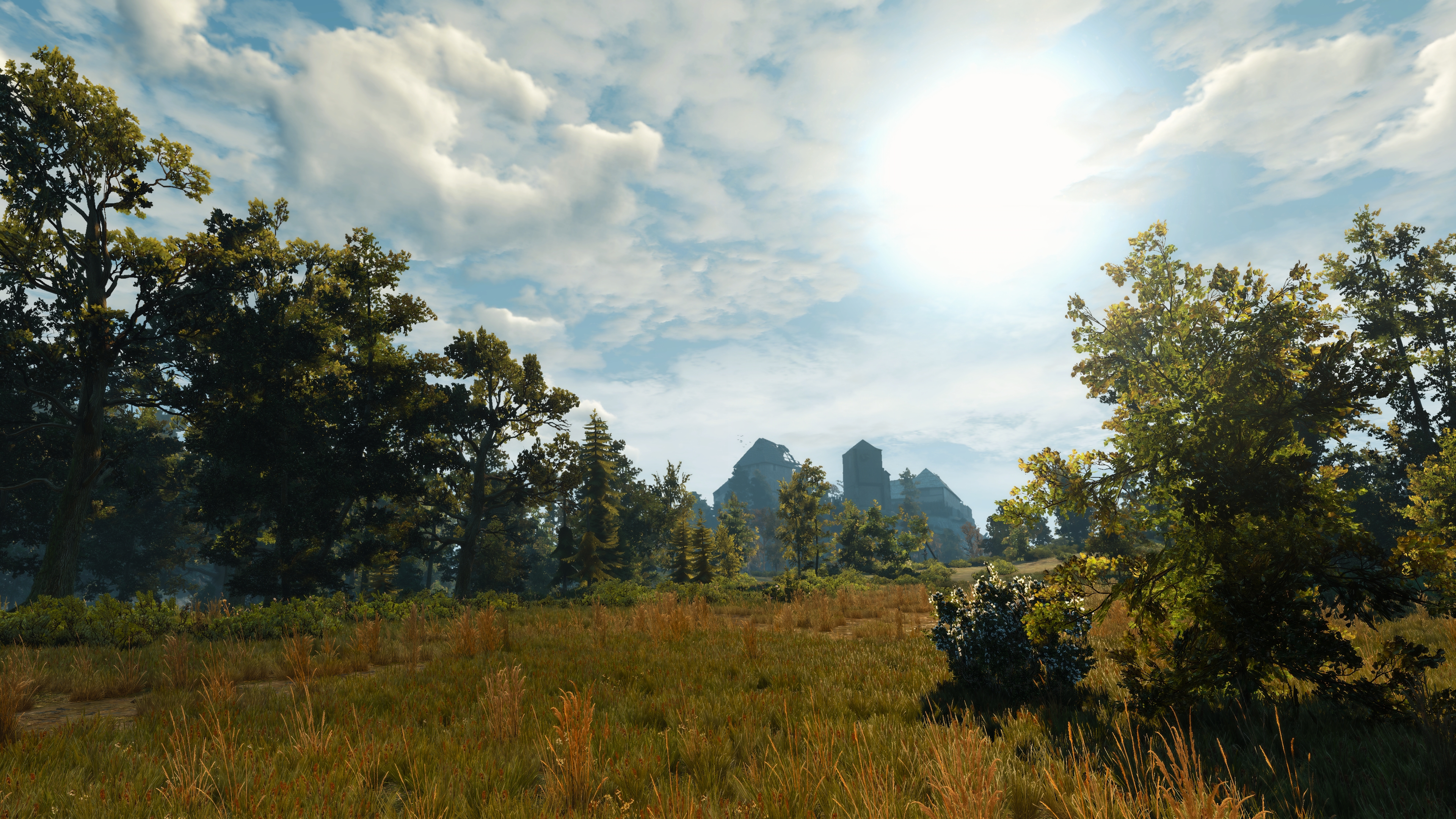 The Witcher 3 Wild Hunt Screen Shot PC Gaming Geralt Of Rivia The Witcher 3840x2160