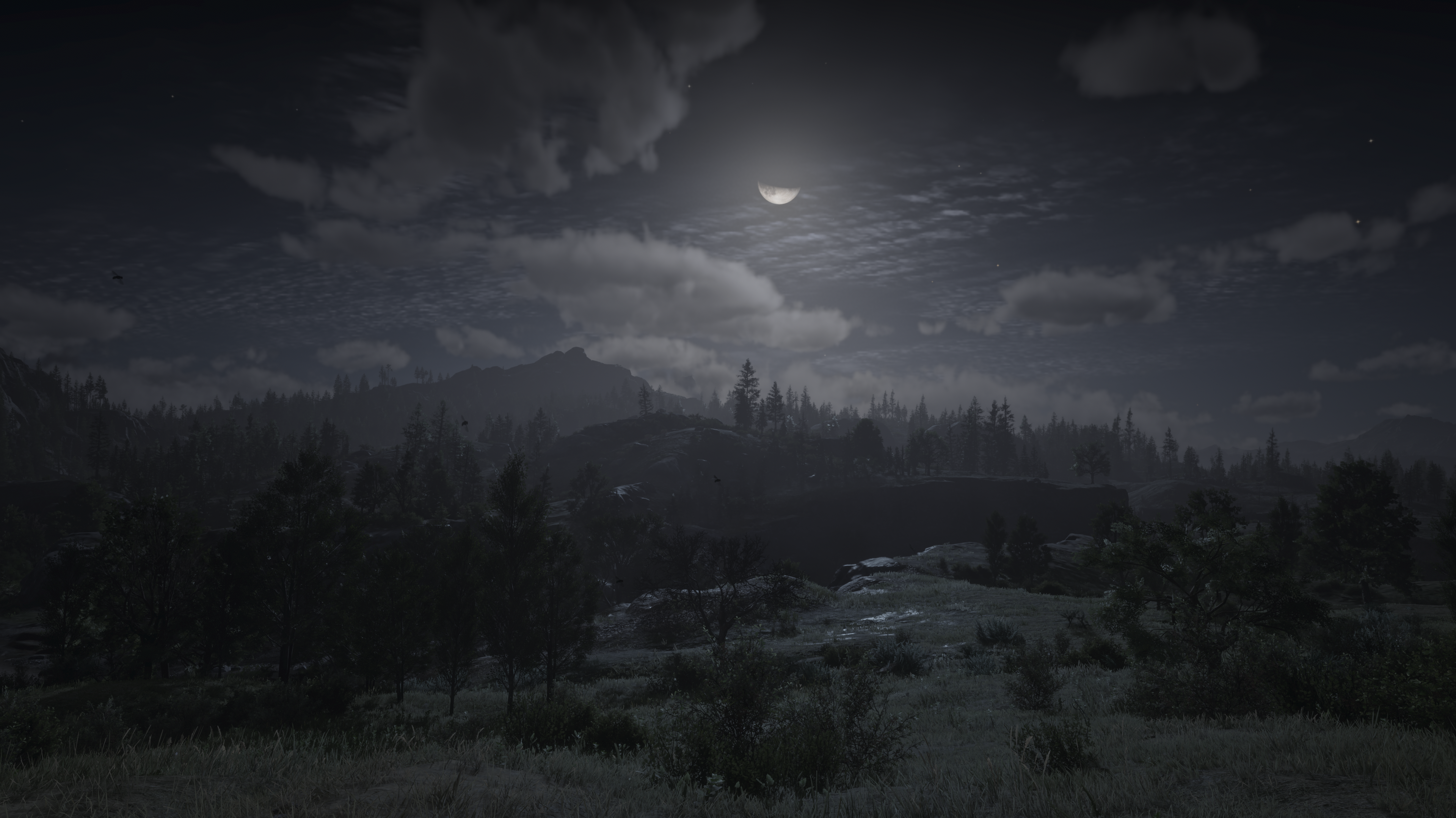 Red Dead Redemption 2 Nature Landscape Video Games Night Trees Sky Clouds Simple Background Grass Mo 3840x2160