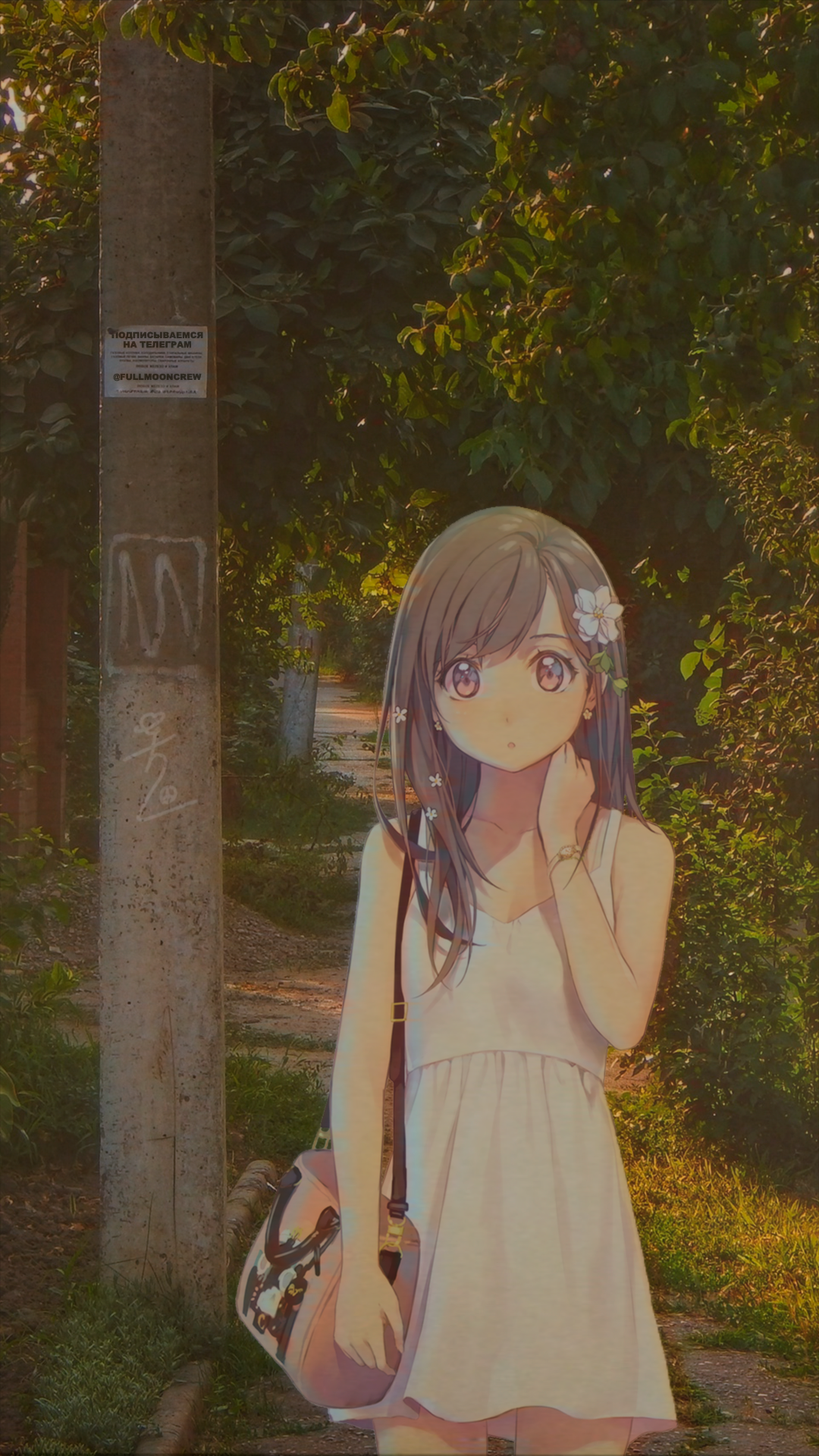 Walkway Animeirl Anime Girls Purse Flower In Hair 1080x1920
