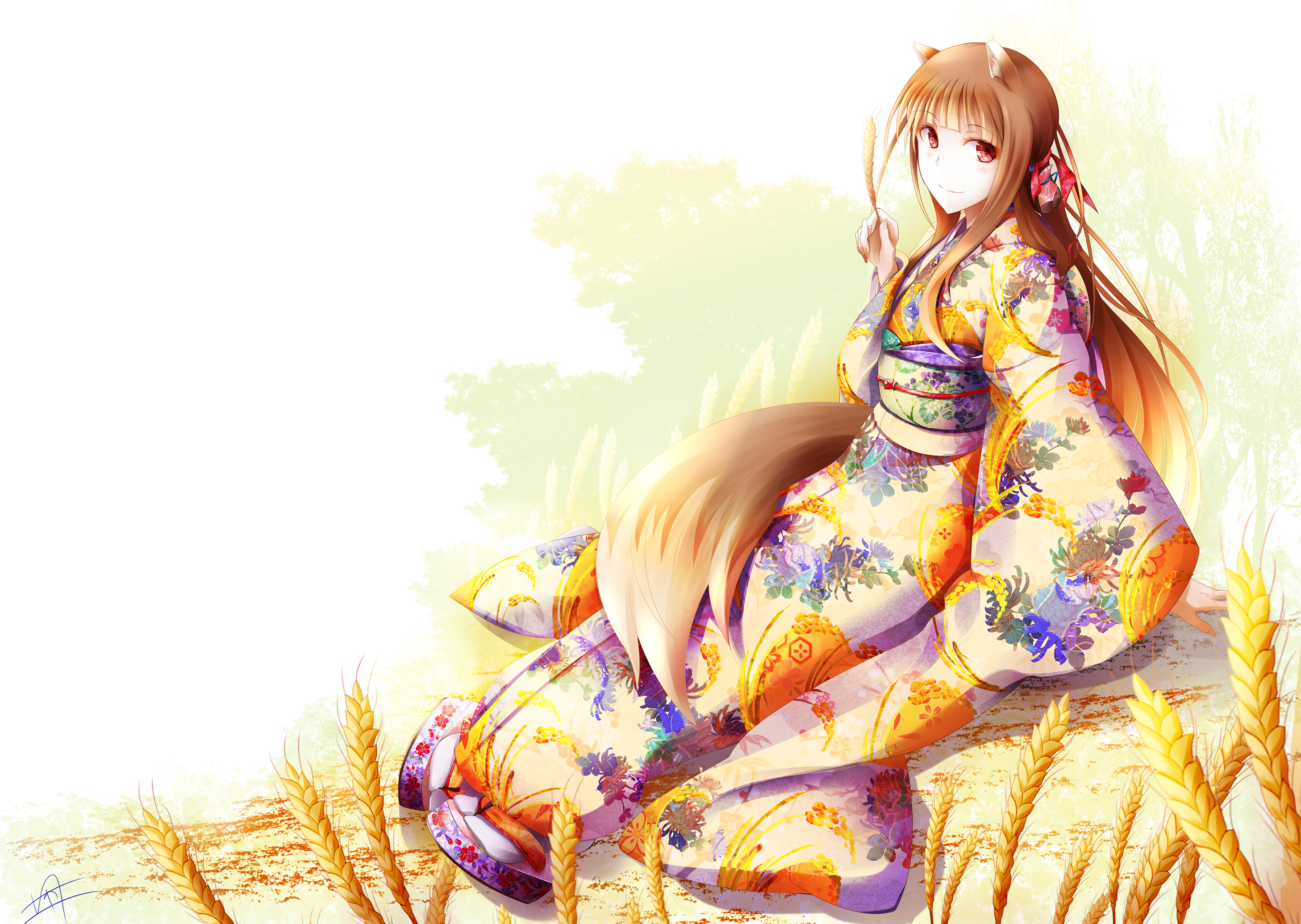 Holo Spice Amp Wolf 2914x2071