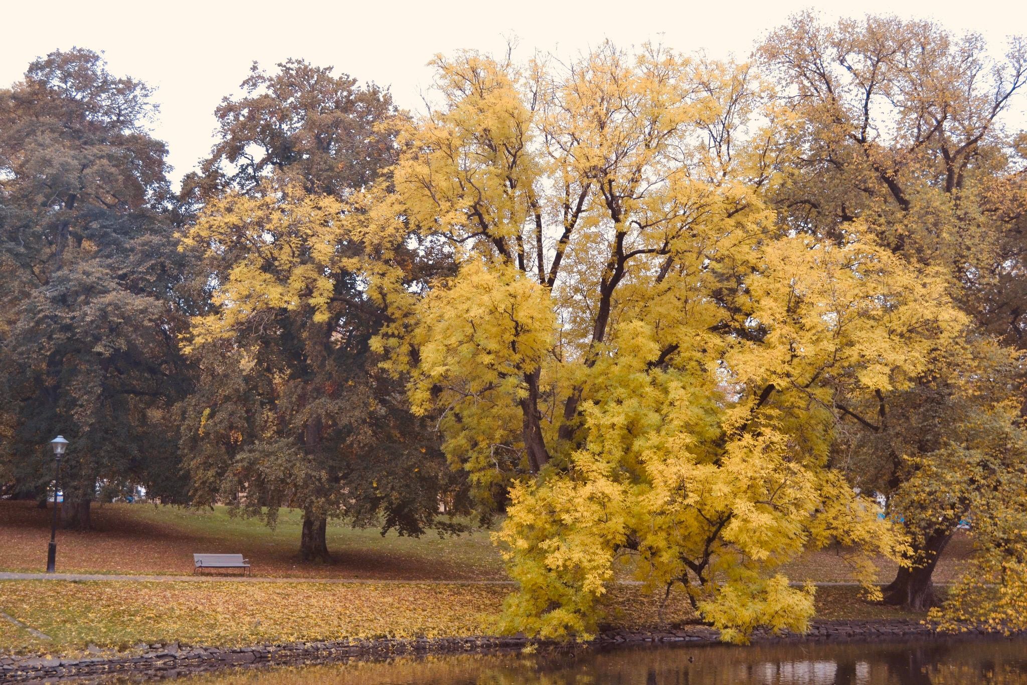 Seasons Gothenburg Nature Trees Water 2048x1366