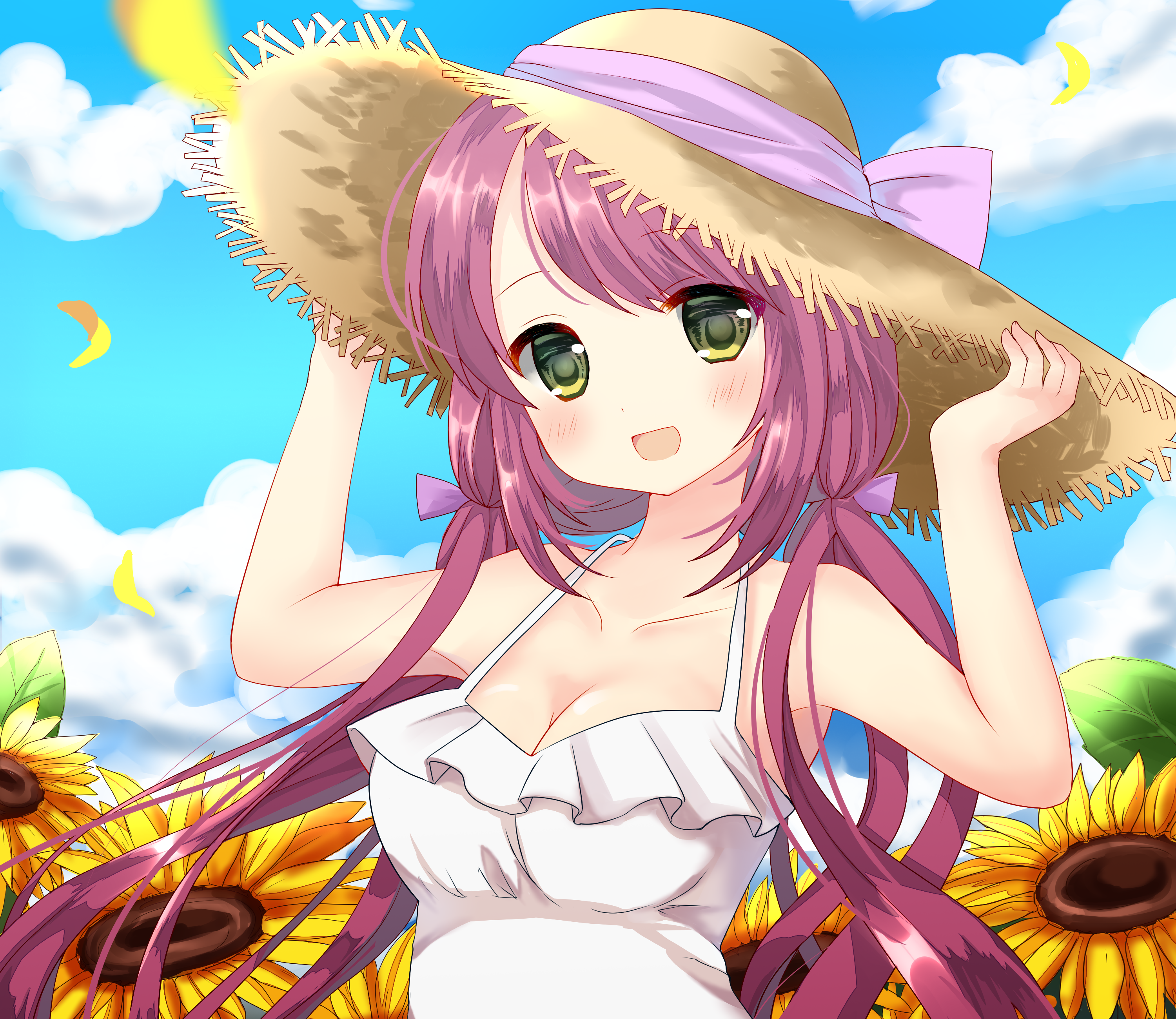 Hat Pink Hair Twintails Blush Sunflower 3000x2600