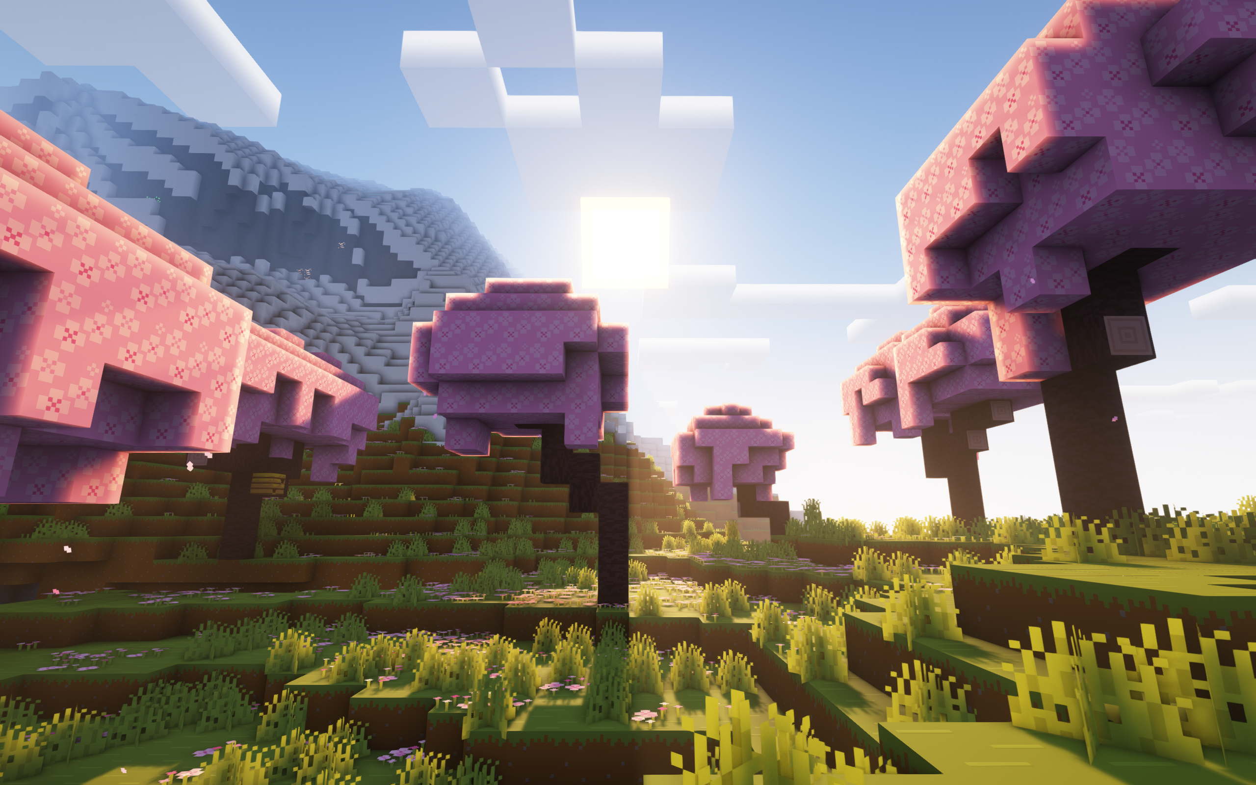 Minecraft Shaders Video Games Cube Sky Clouds Grass Trees Mountains Snow CGi Sun Sunlight 2560x1600