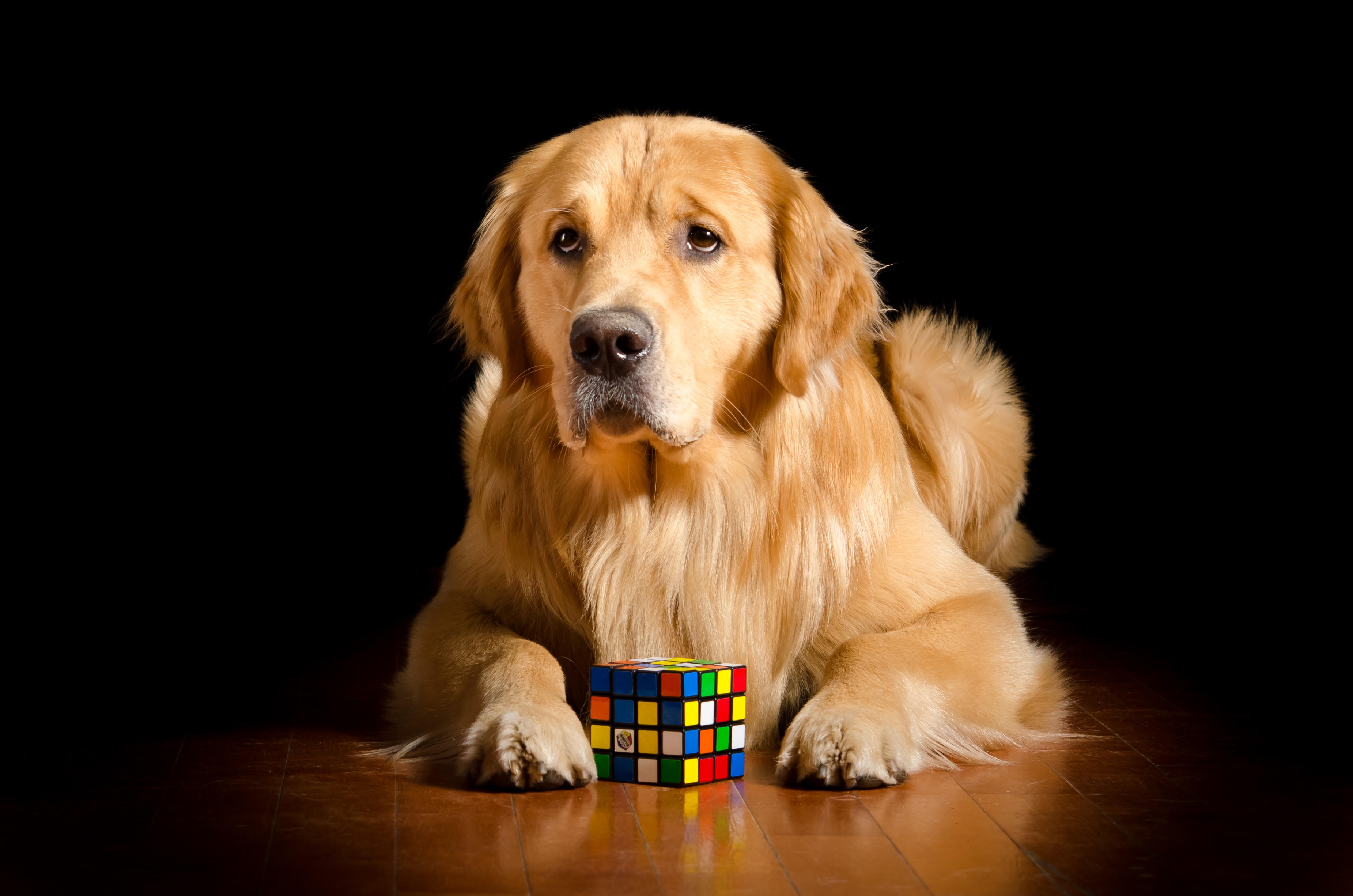 Rubik 039 S Cube 3701x2451