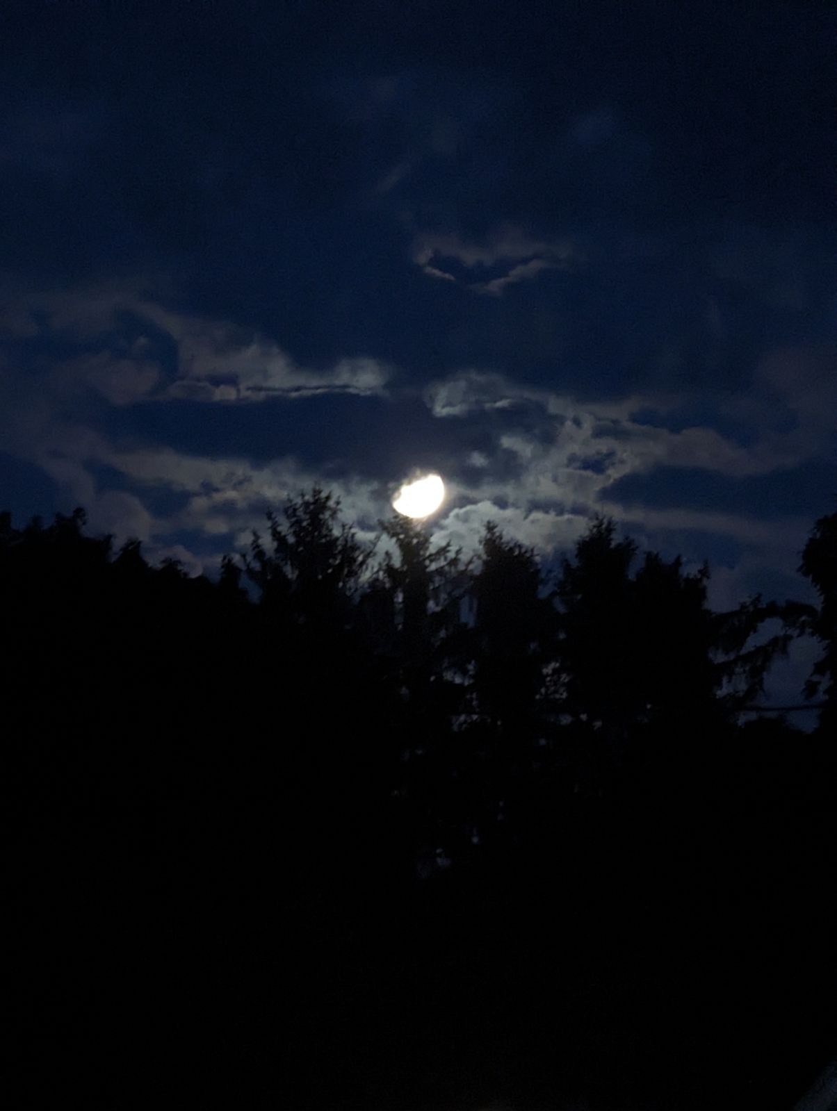 Moon Night Dark Forest Trees Wilderness 1204x1599
