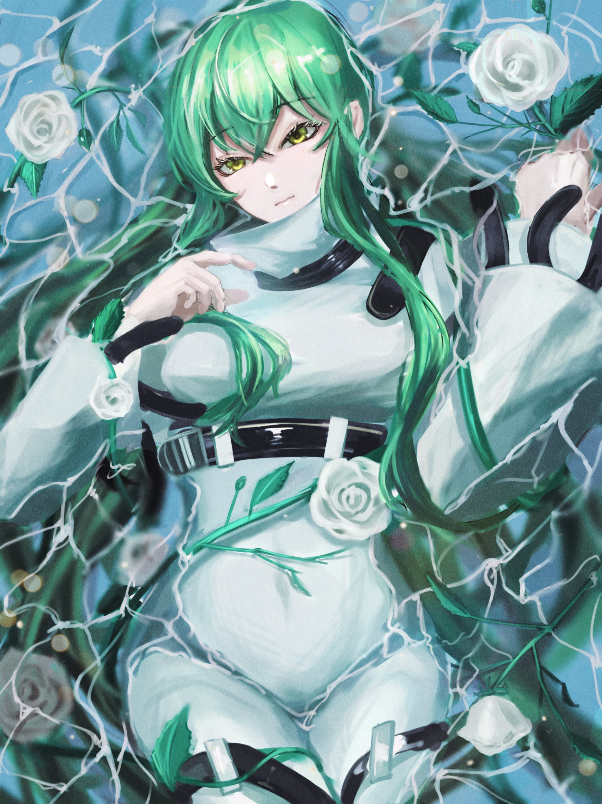 Anime Anime Girls Code Geass C C Code Geass Long Hair Green Hair Super Robot Taisen Artwork Digital  2048x2738