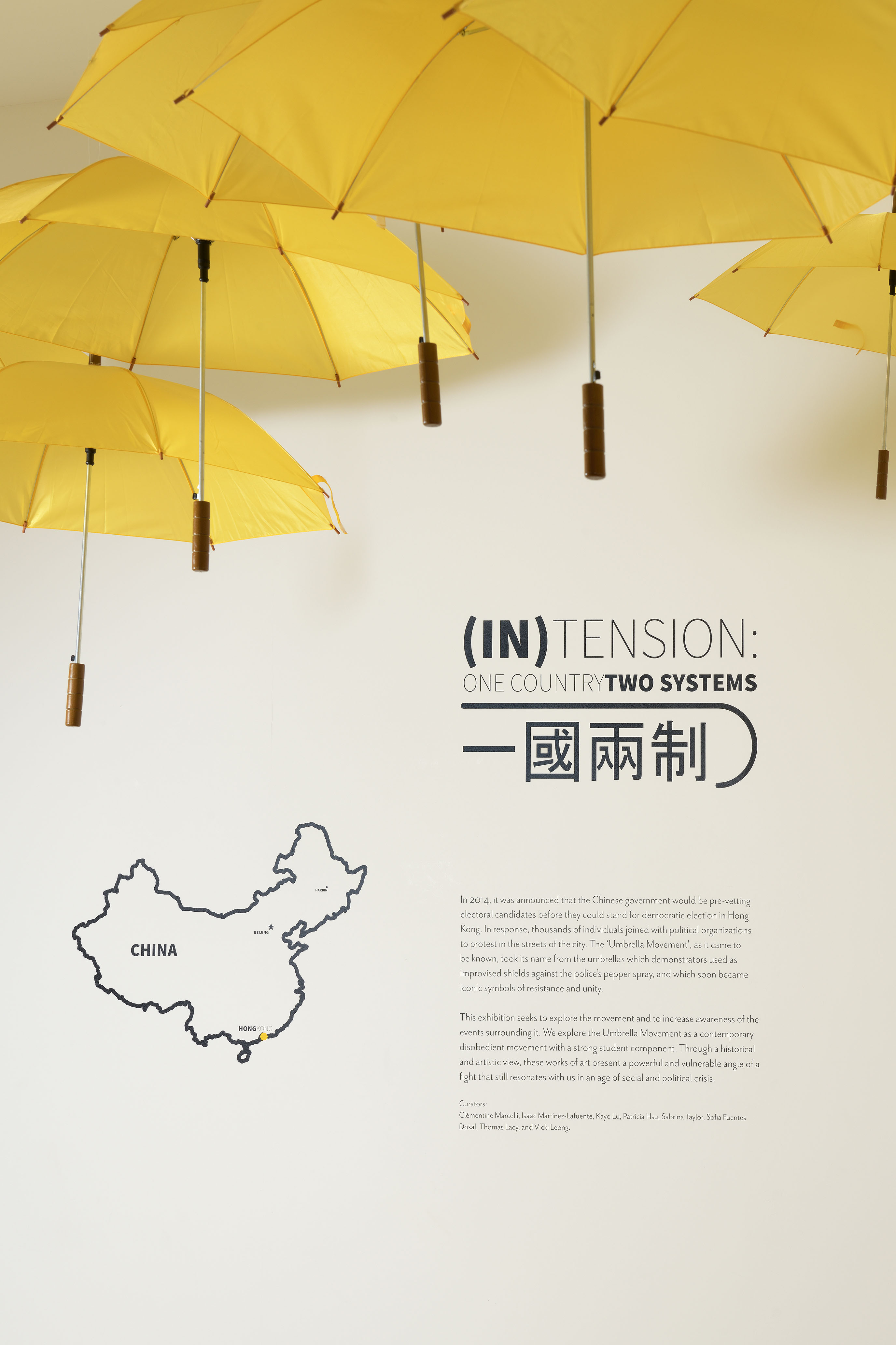 Umbrella Hong Kong Umbrella Movement Yellow Protestors China Portrait Display Text White Background 2752x4128