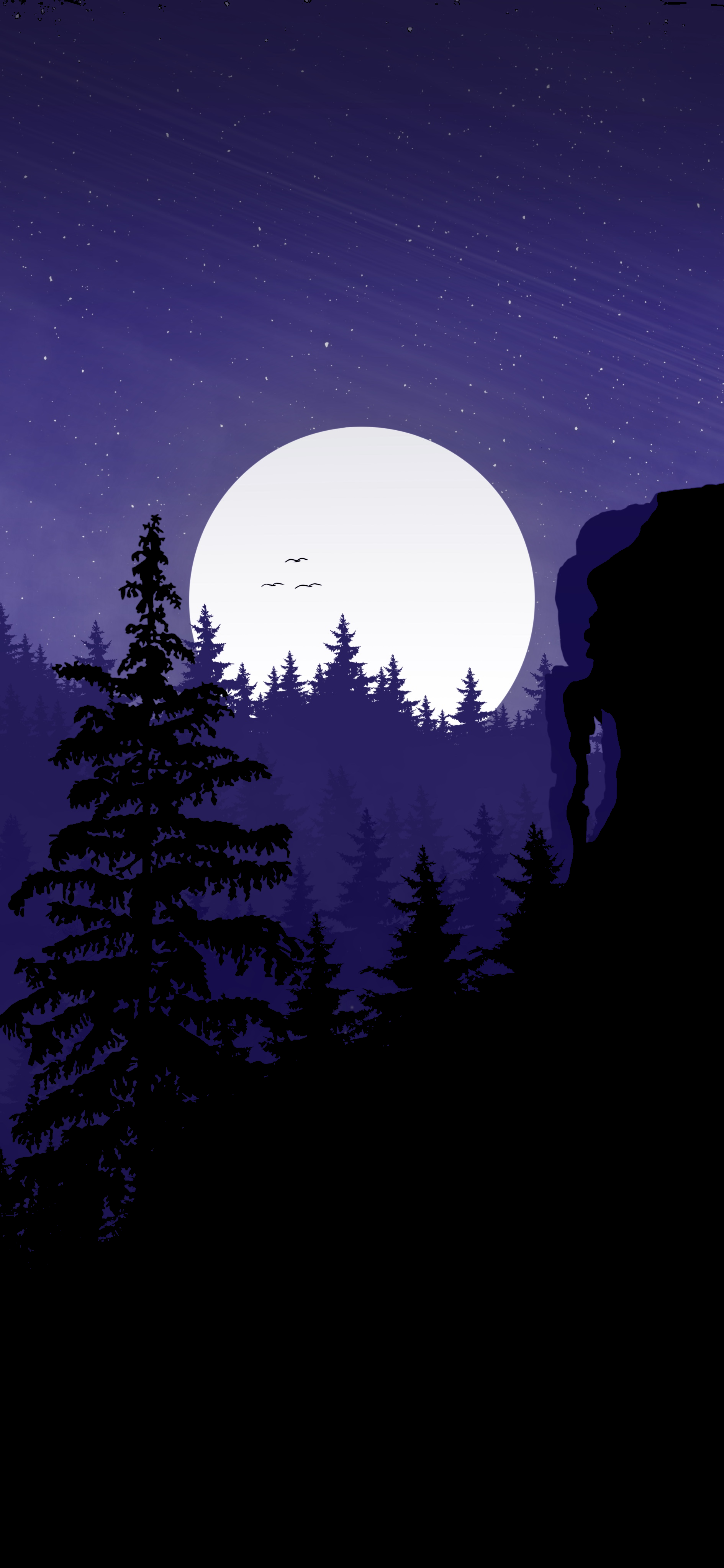 Night Moon Rays Trees Dark 1890x4096