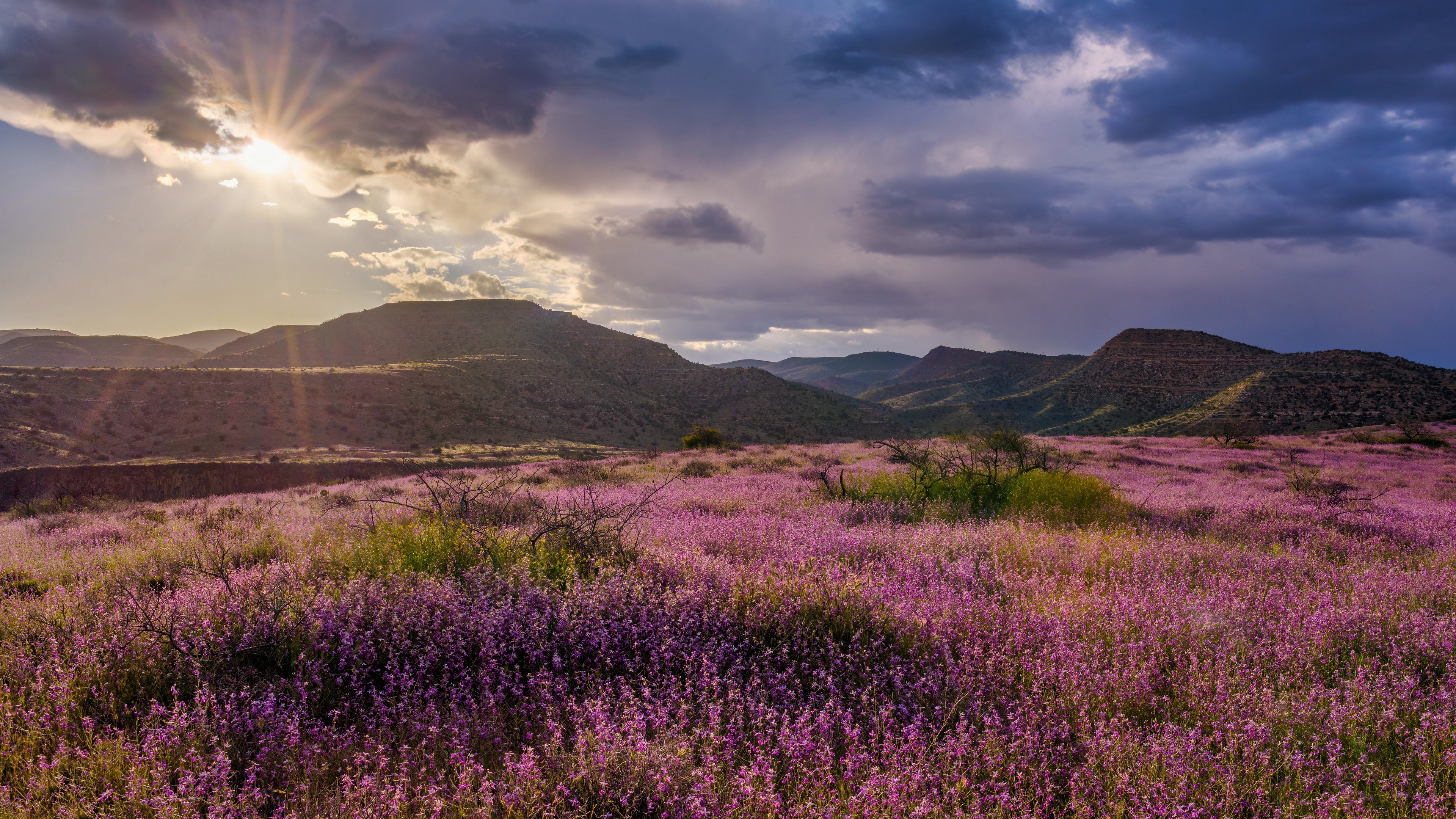 Nature Landscape Spring Flowers Field Sky Clouds Mountains Sun 3840x2160