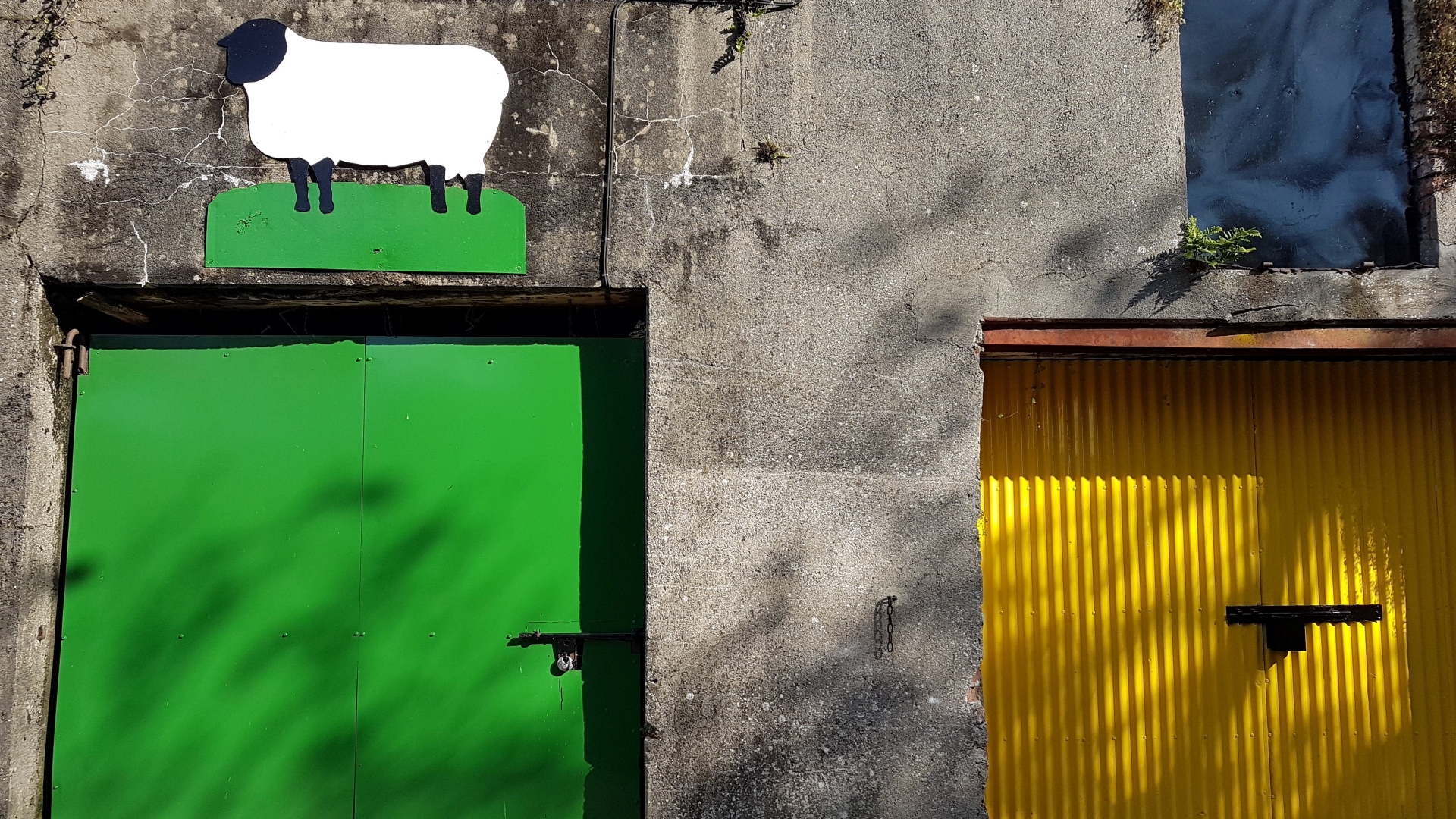 Ireland Graiguenamanagh Door Sunlight Sheep Simple Background Minimalism Concrete 1920x1080