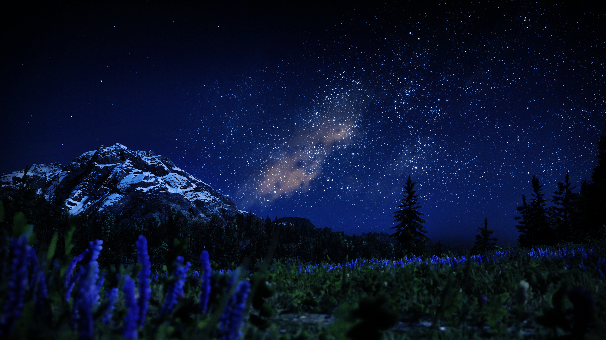 Red Dead Redemption 2 Night Nature Milky Way Forest Valley Digital Art Video Games Sky Clouds Video  2560x1440
