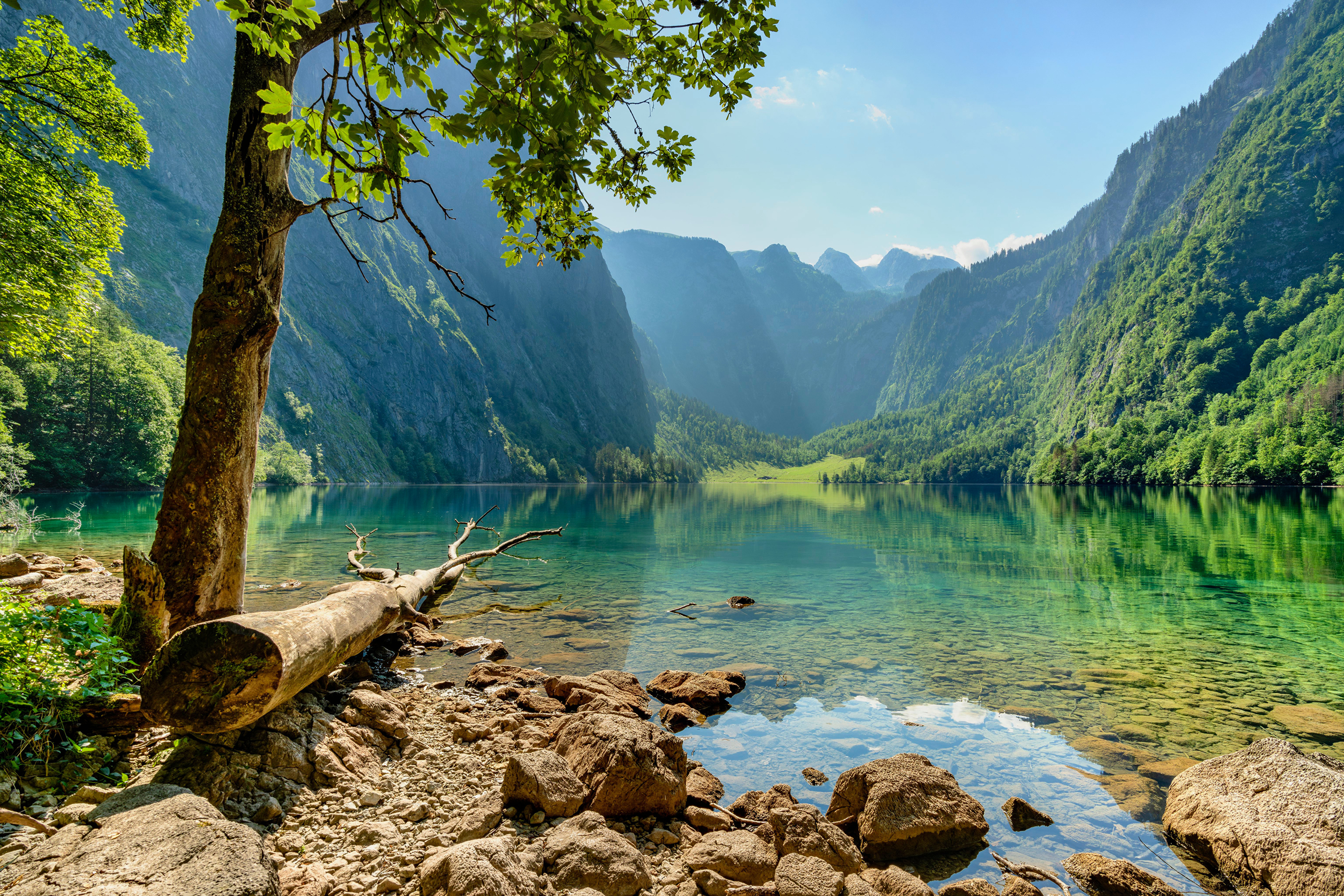 Nature Landscape Mountains Obersee Lake Germany Trees Dead Trees 3840x2560