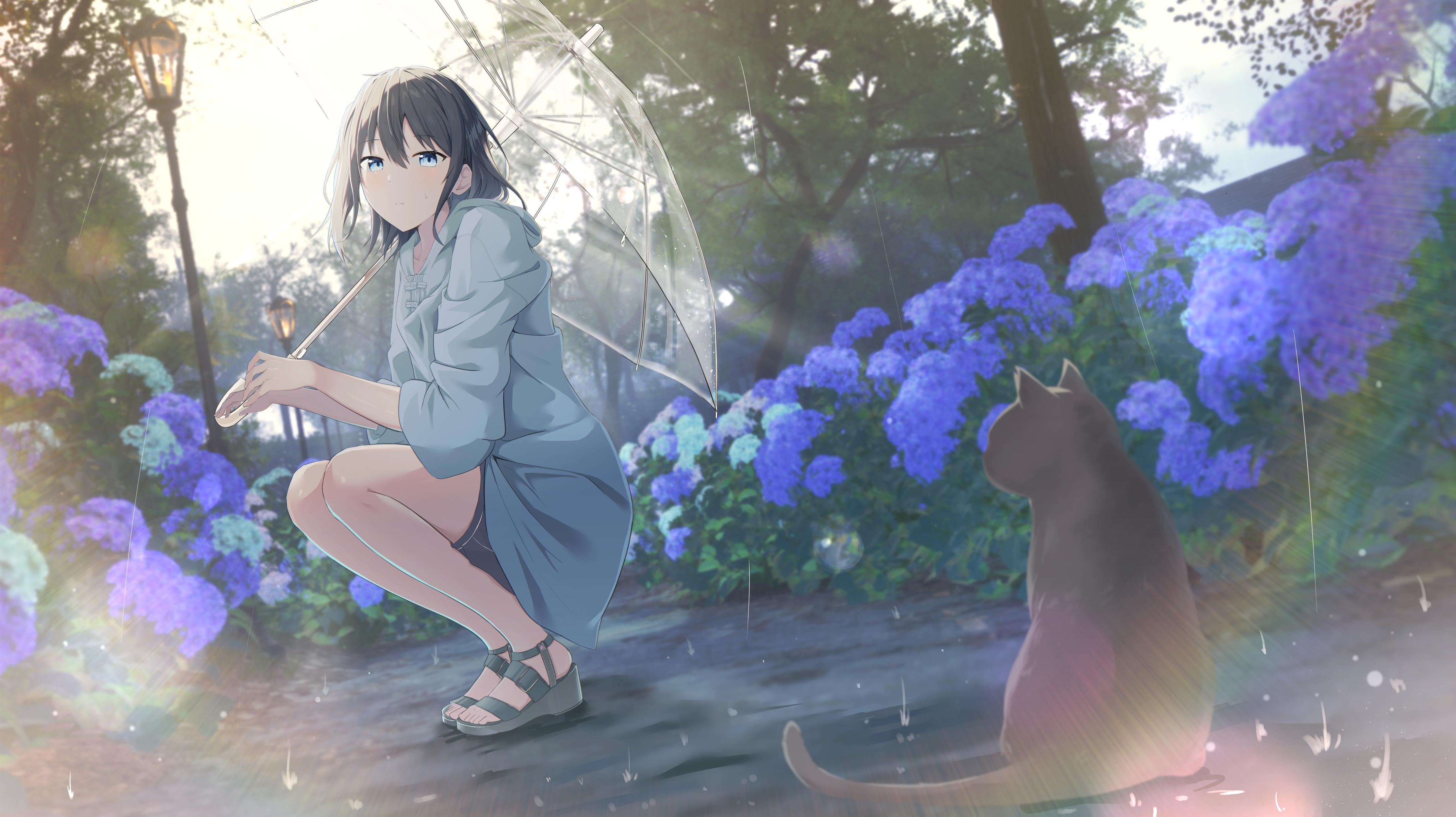 Anime Girls Rain Looking At Viewer Animals Blue Flowers Flowers Outdoors Cats Water Drops Long Hair  4374x2454