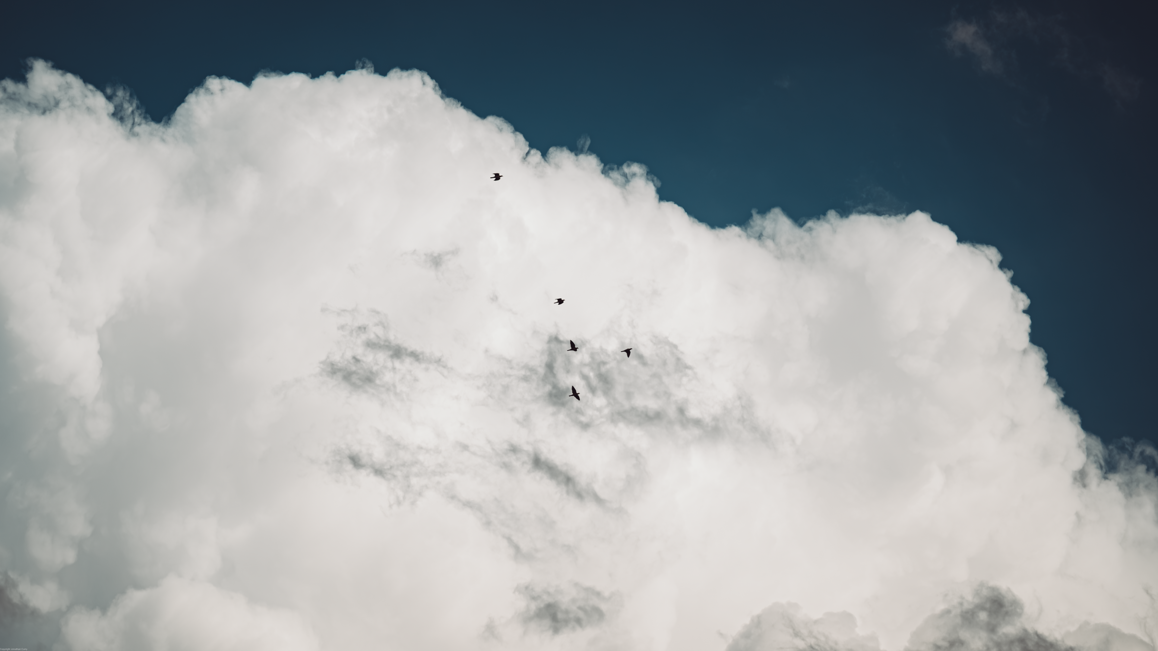 Photography Nature Clouds Birds Outdoors Sky Minimalism Jonathan Curry 3840x2160