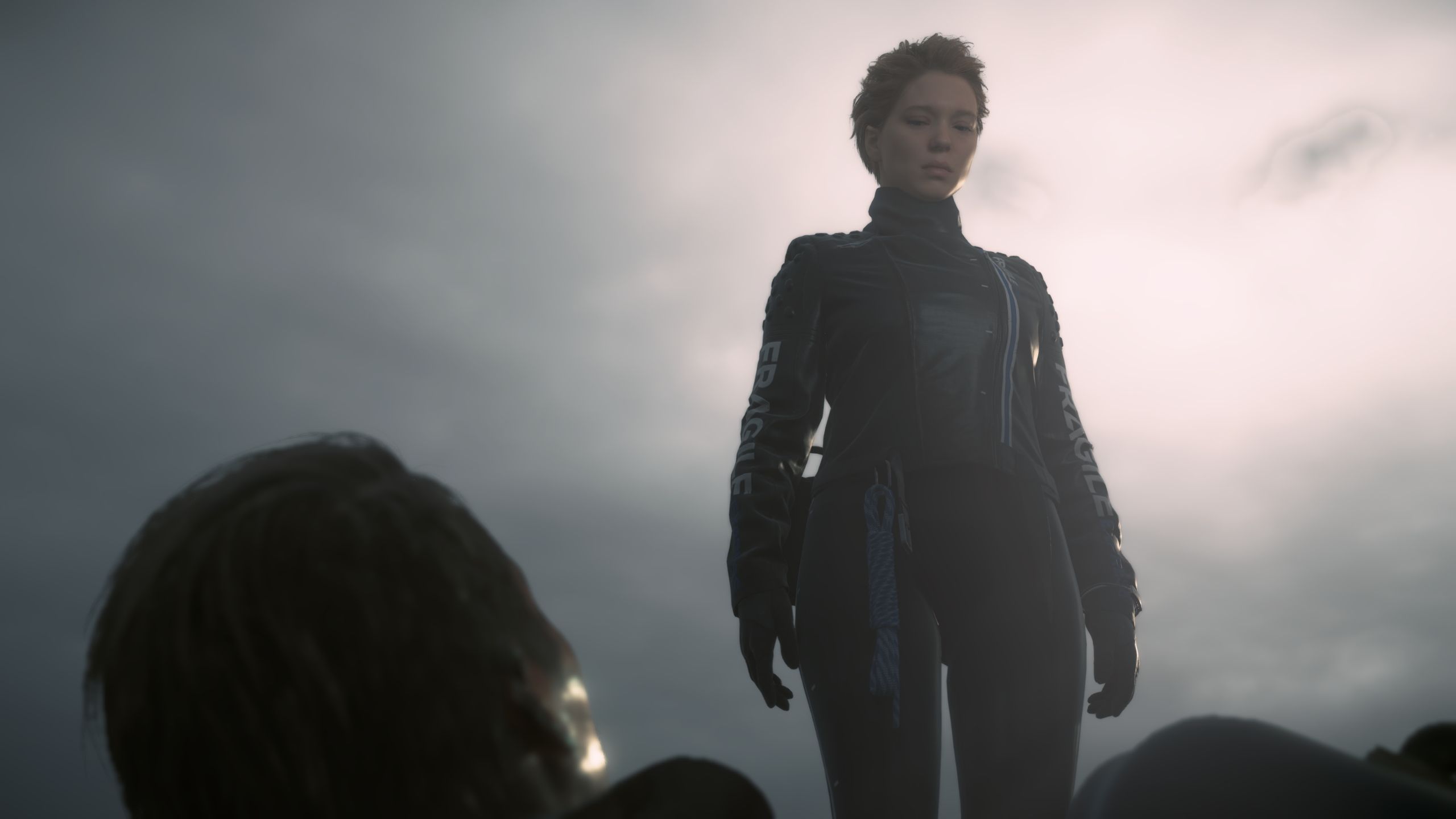 Death Stranding Video Games CGi Video Game Characters Lea Seydoux 2560x1440