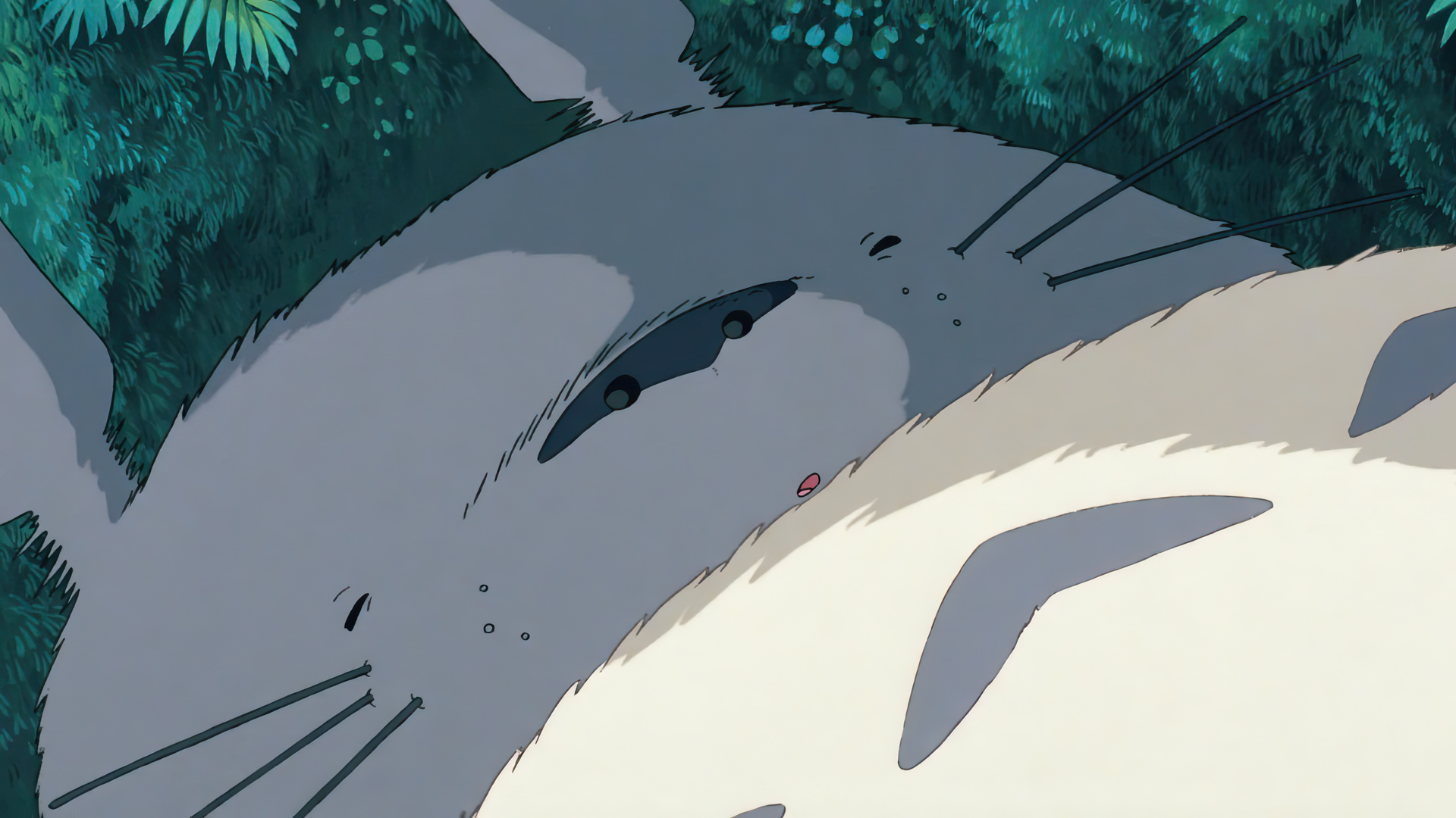 My Neighbor Totoro Animated Movies Film Stills Anime Animation Studio Ghibli Hayao Miyazaki Totoro C 1920x1080