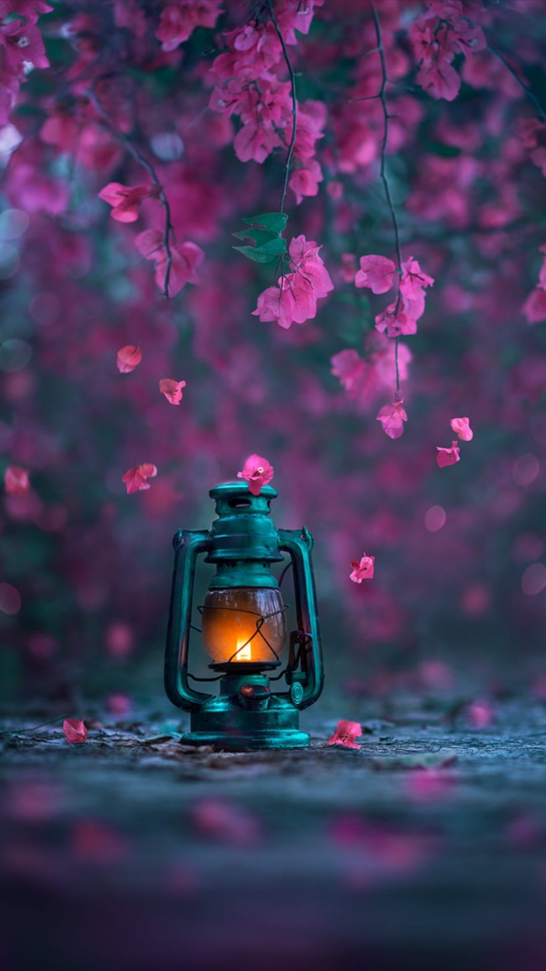 Flowers Pink Nature Photography Lantern 1080x1920