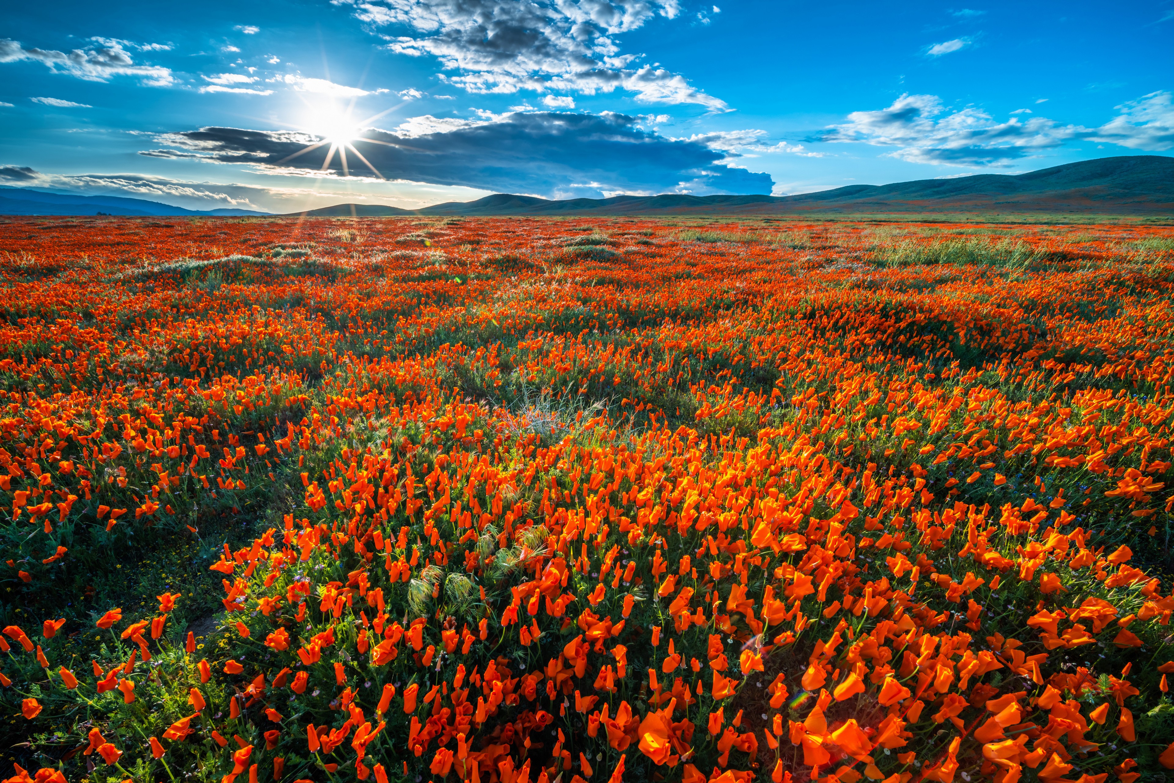 Nature Landscape Field Flowers Sky USA California Clouds Sun 3840x2560