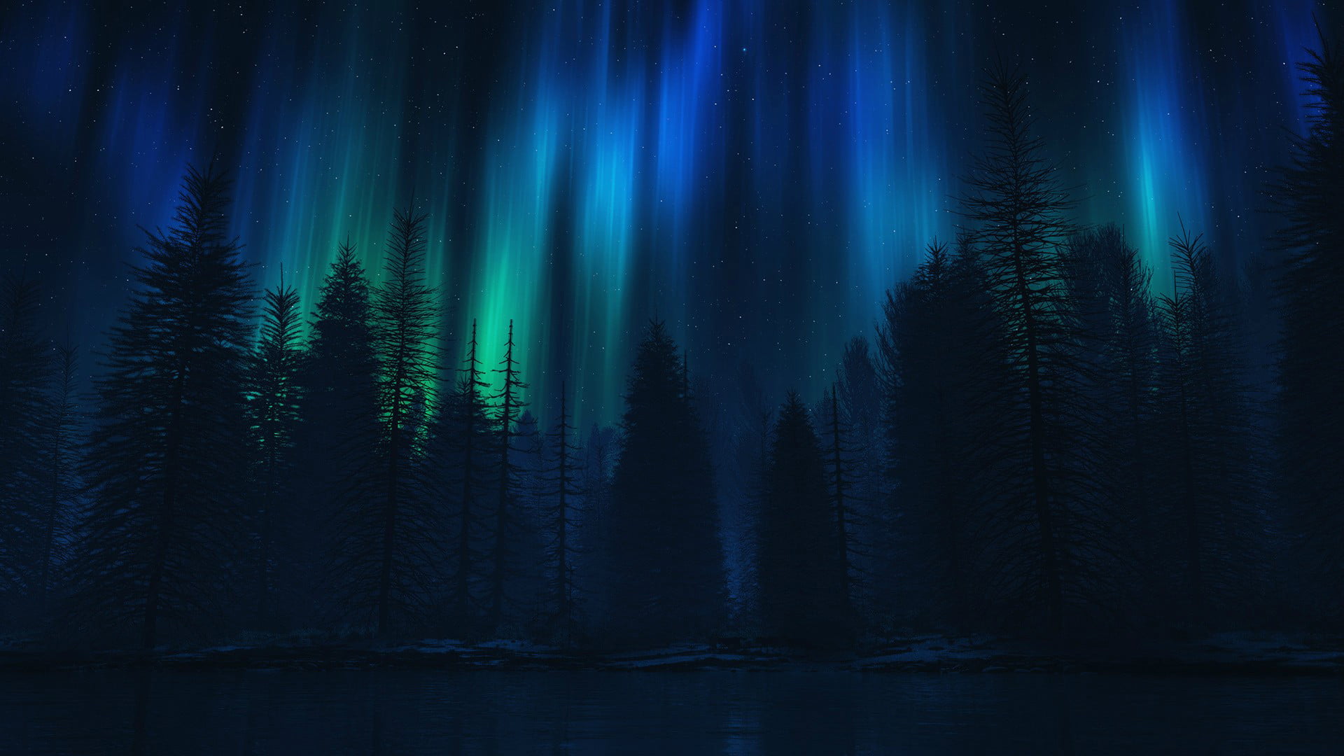 Forest Black Aurora Collective Sky Night 1920x1080