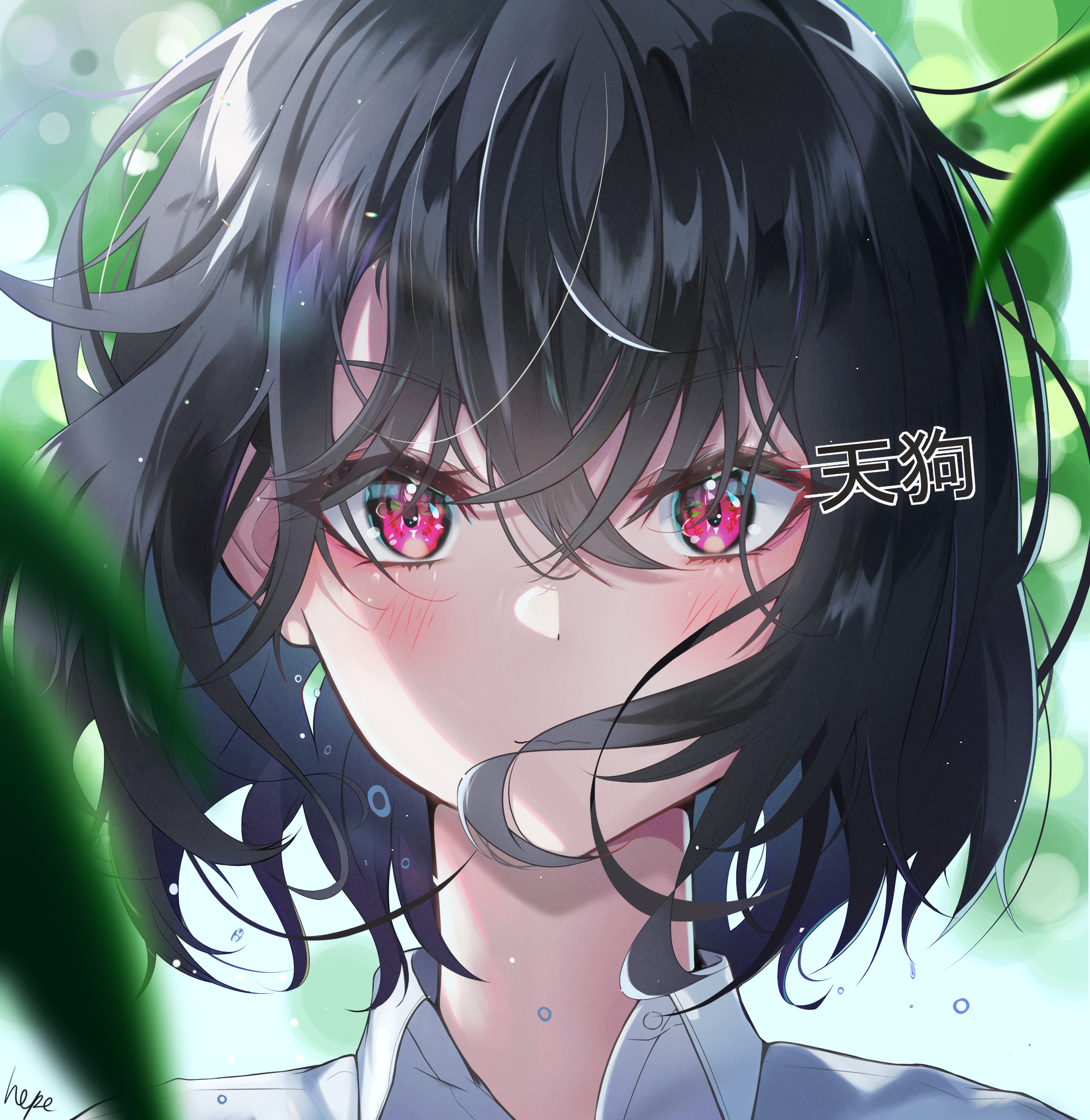 Shameimaru Aya Touhou Anime Anime Girls Black Hair Short Hair Artwork Digital Art Fan Art 2582x2652
