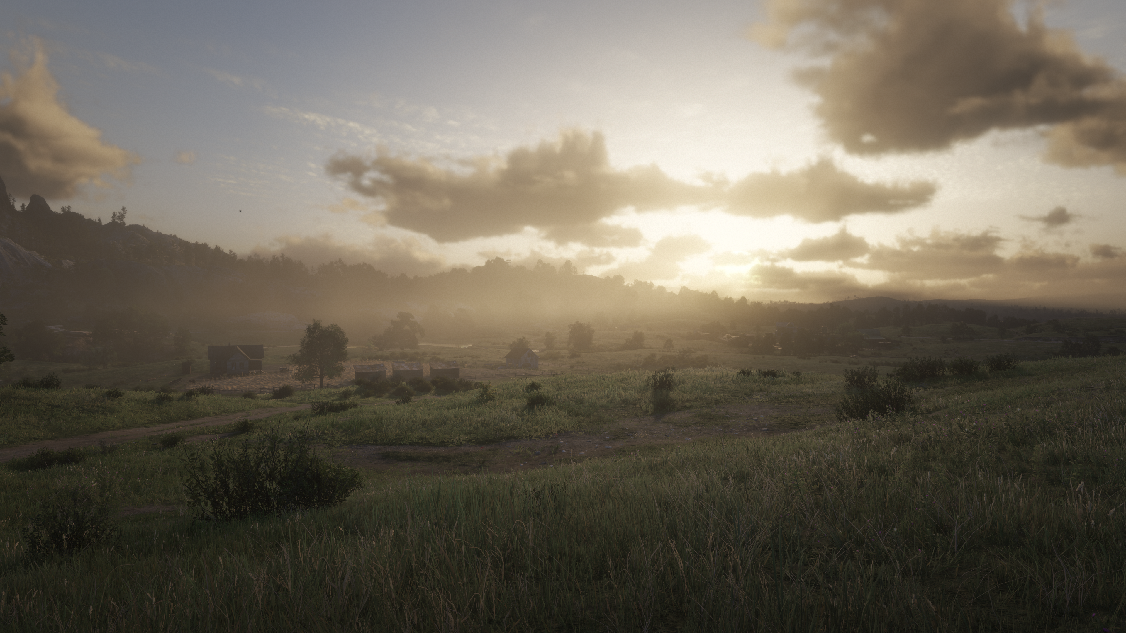 Red Dead Redemption 2 Nature Landscape Video Games Trees Sky Clouds Sunset Glow Grass Simple Backgro 3840x2160