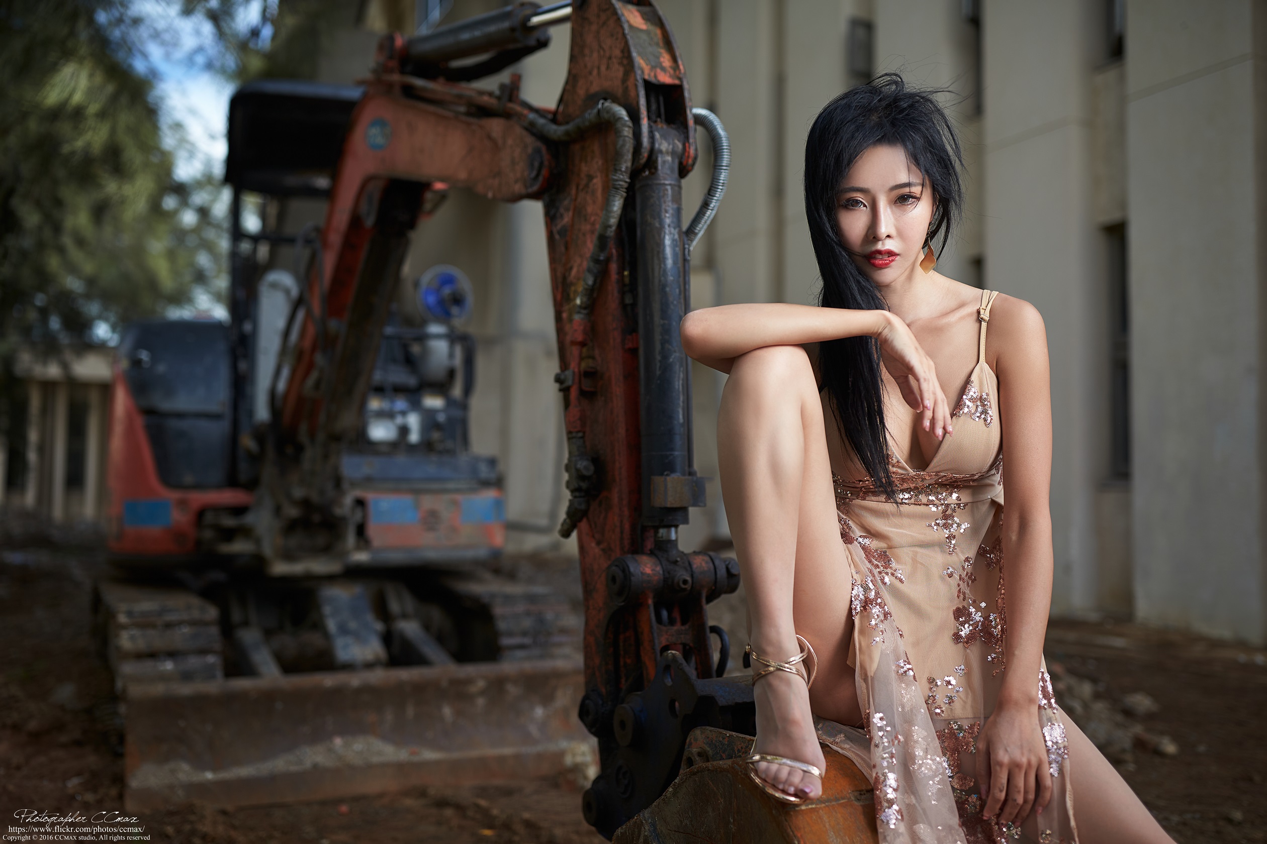 Max Chang Women Asian Dark Hair Dress Relaxing Cranes Machine 2520x1680
