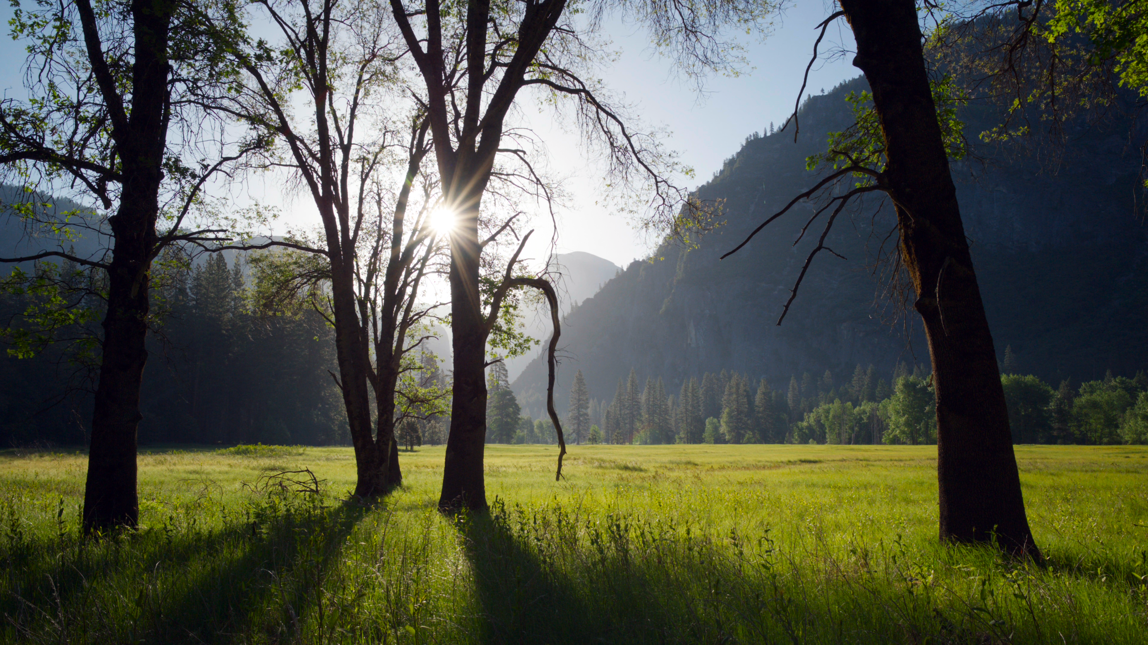 A Perfect Planet TV Series Film Stills BBC Grass Trees Mountains Sunlight 3840x2160