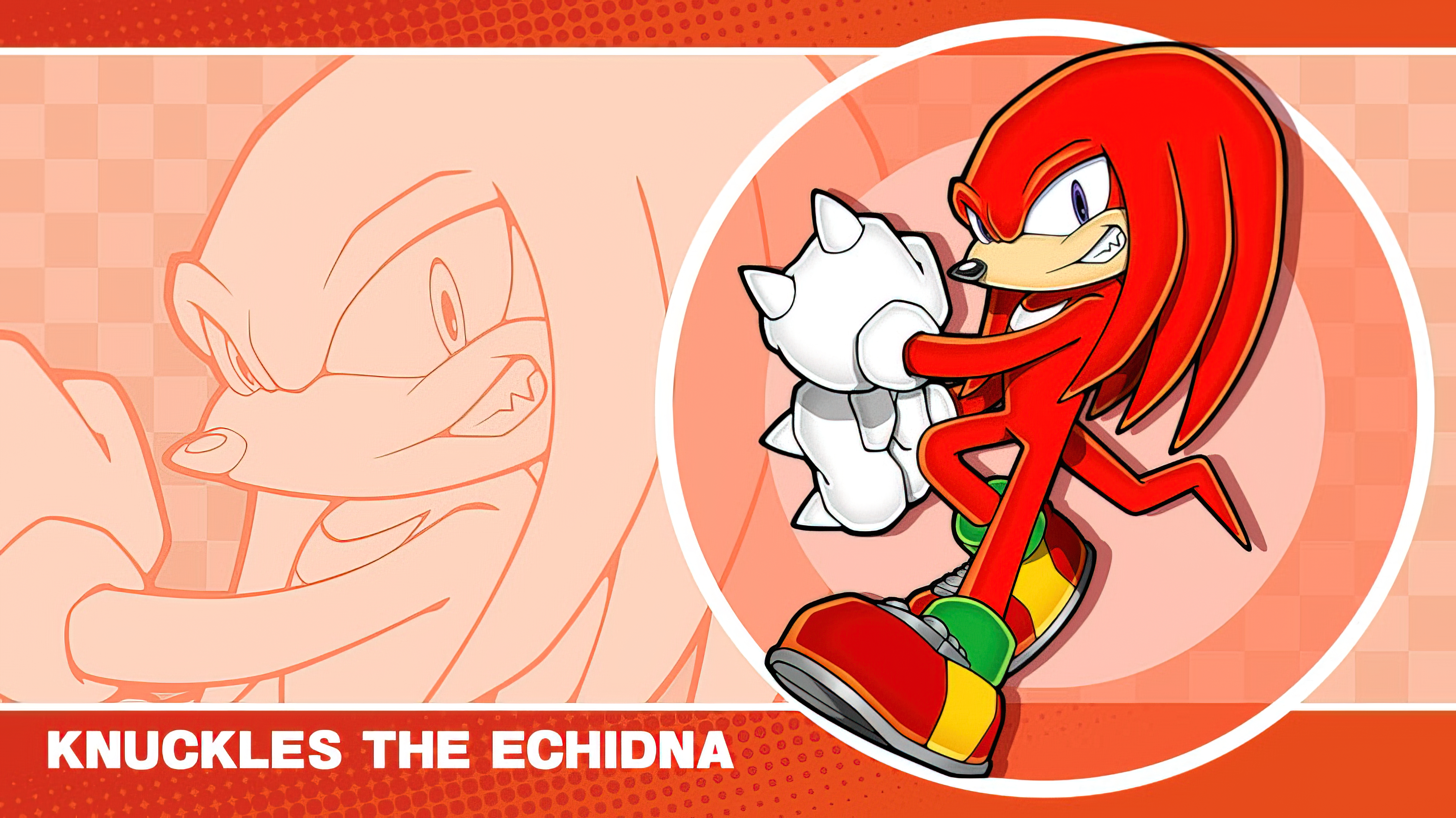 Sonic Sonic The Hedgehog Video Game Art Video Game Characters Sega Comic Art Knuckles 3800x2136