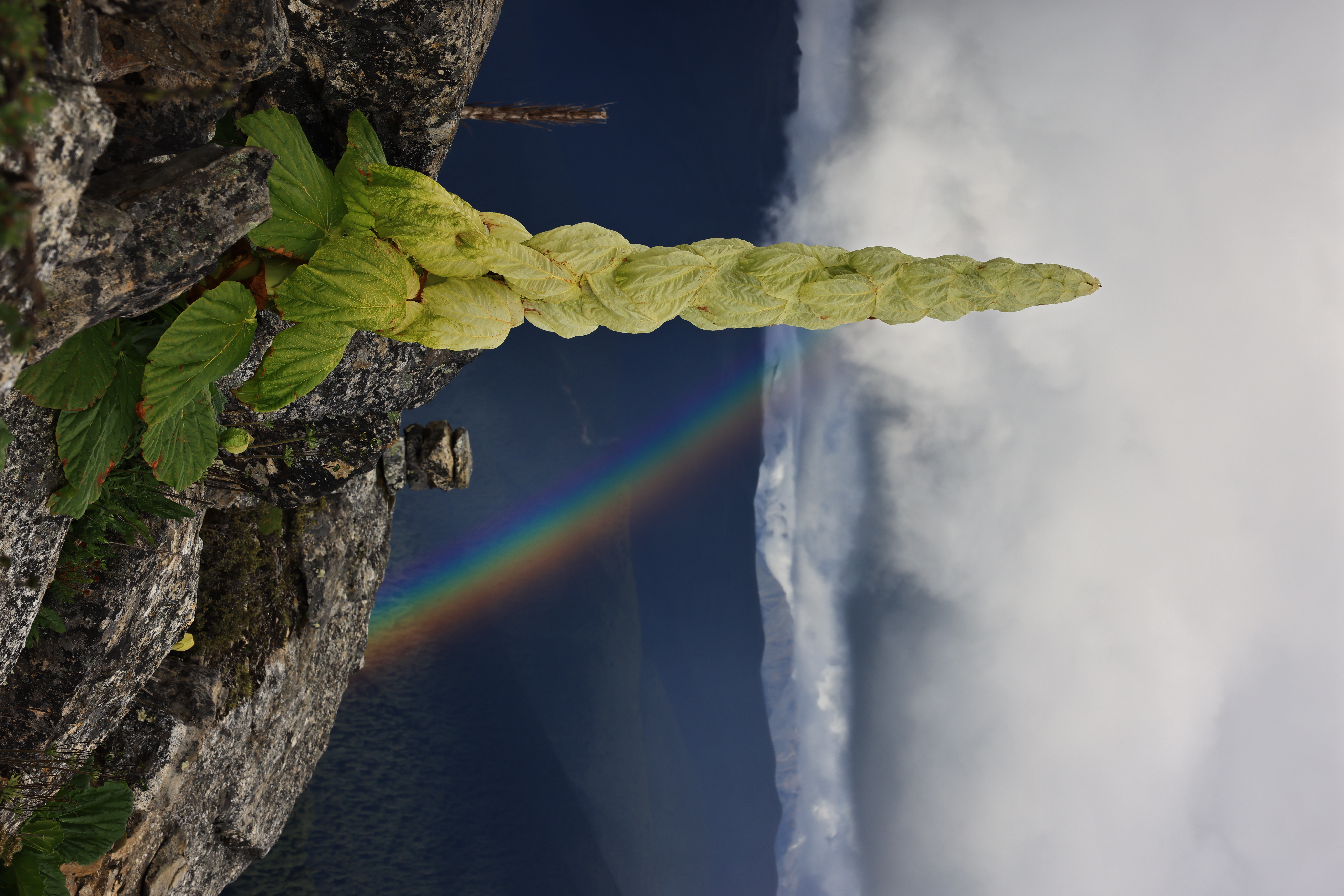 Nature Portrait Display Rainbows Leaves Sky Clouds Mountains 8192x5464
