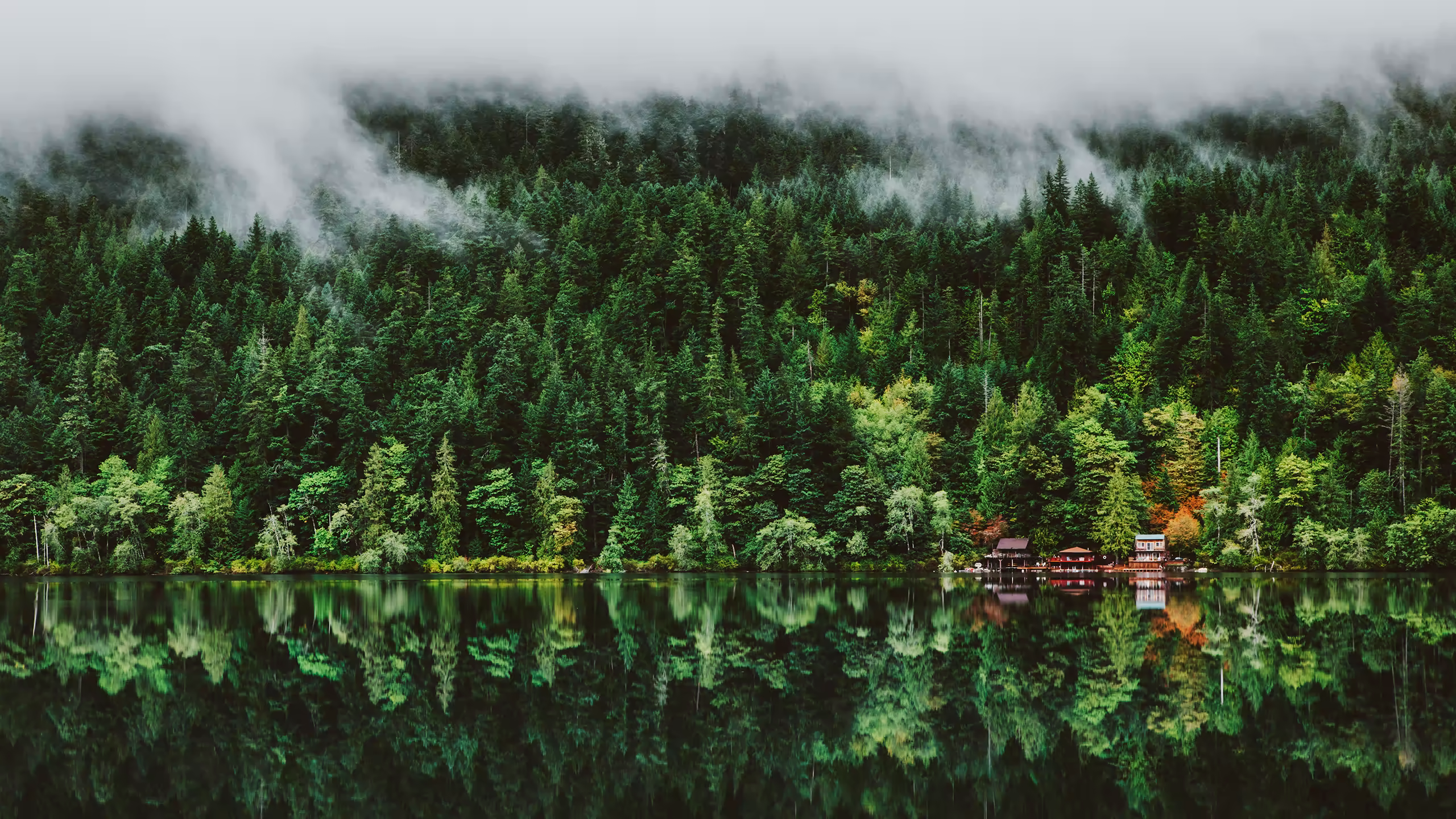 Nature Greenery Water Forest Lake Trees Mist House Cabin Reflection 2560x1440